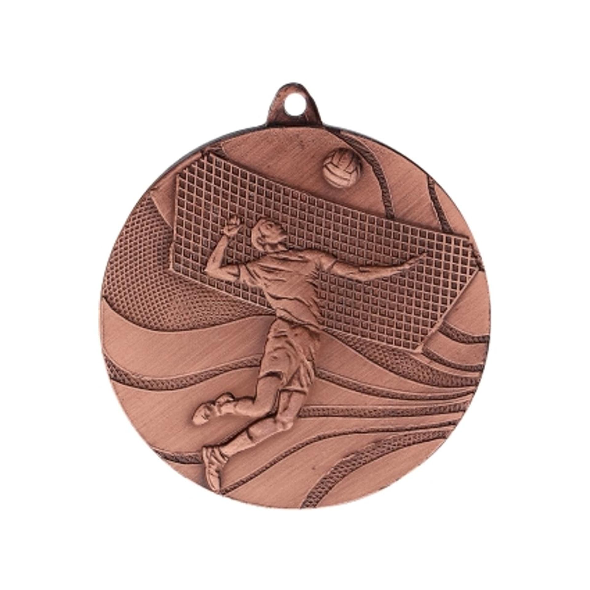 

medal brązowy- siatkówka