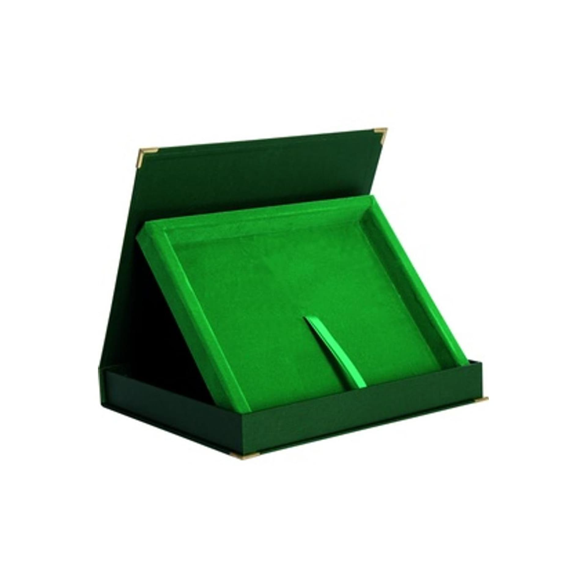 

Etui z tworzywa sztucznego poziome w kolorze zielonym - na deskę 305x230