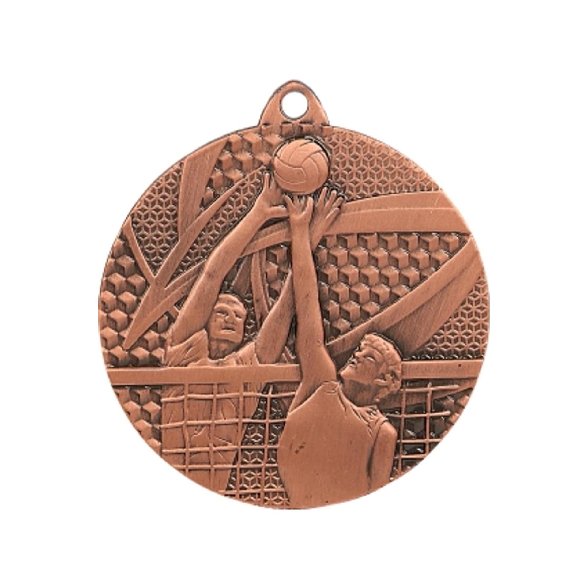 

medal brązowy- siatkówka