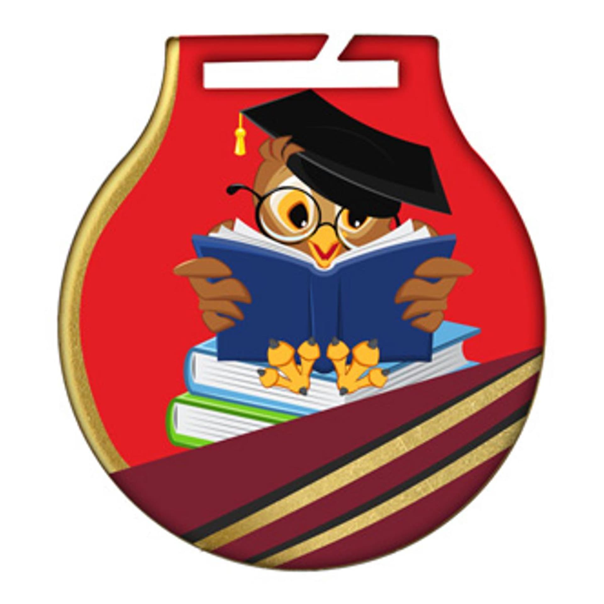 

Medal stalowy z usługą Q - SZKOLNICTWO