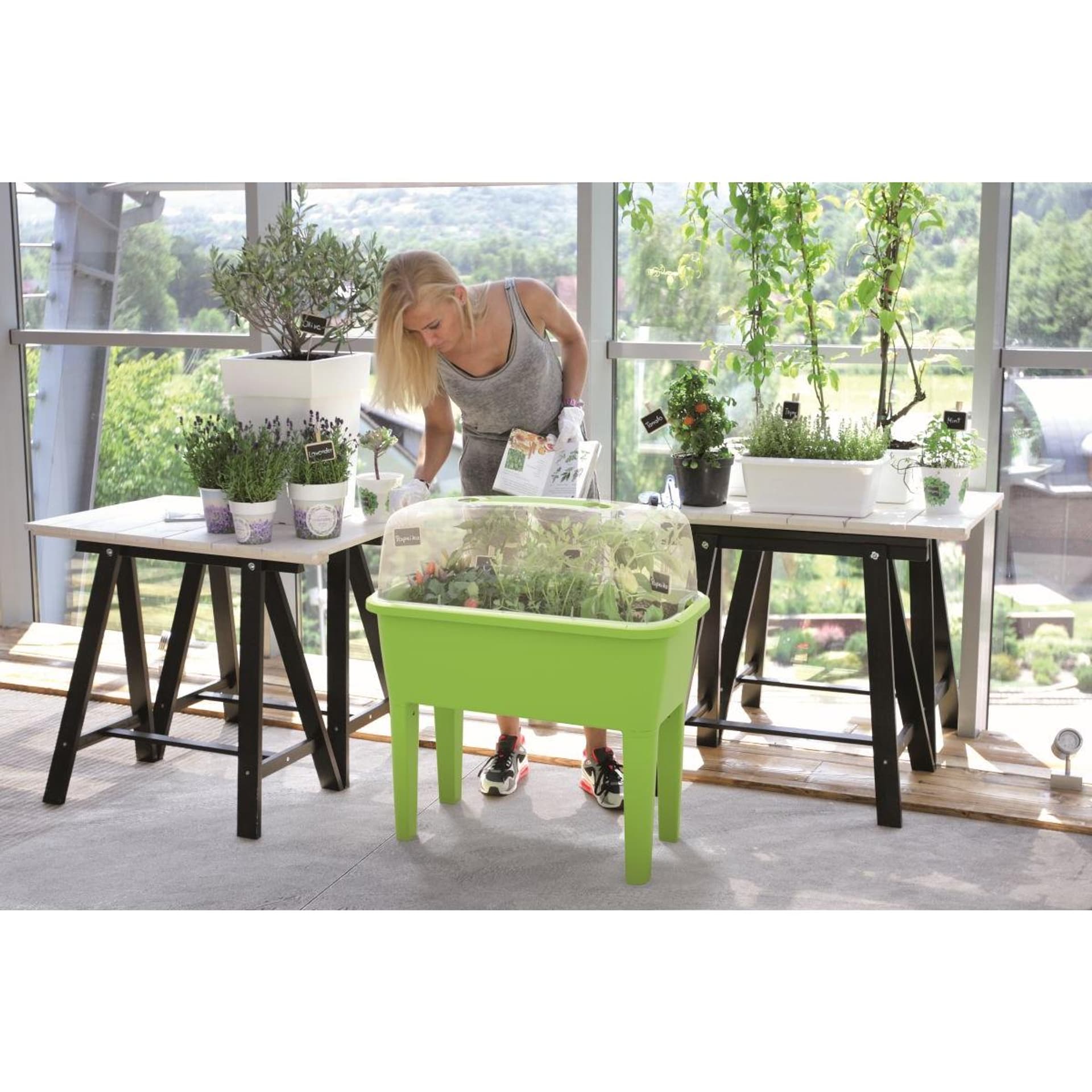 

SZKLARNIA STOJĄCA ROZSADNIK 4W1 RESPANA PLANTER SET LIMONKA