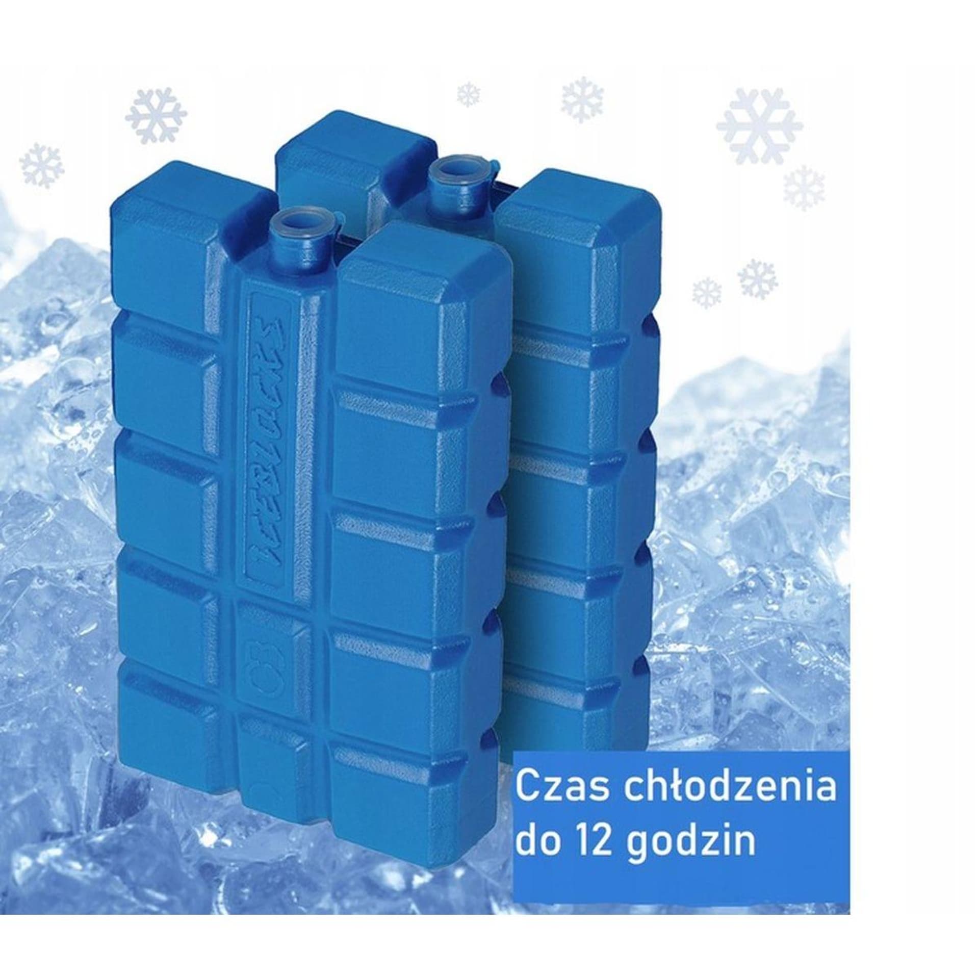 

WKŁAD DO LODÓWKI 2X200GR