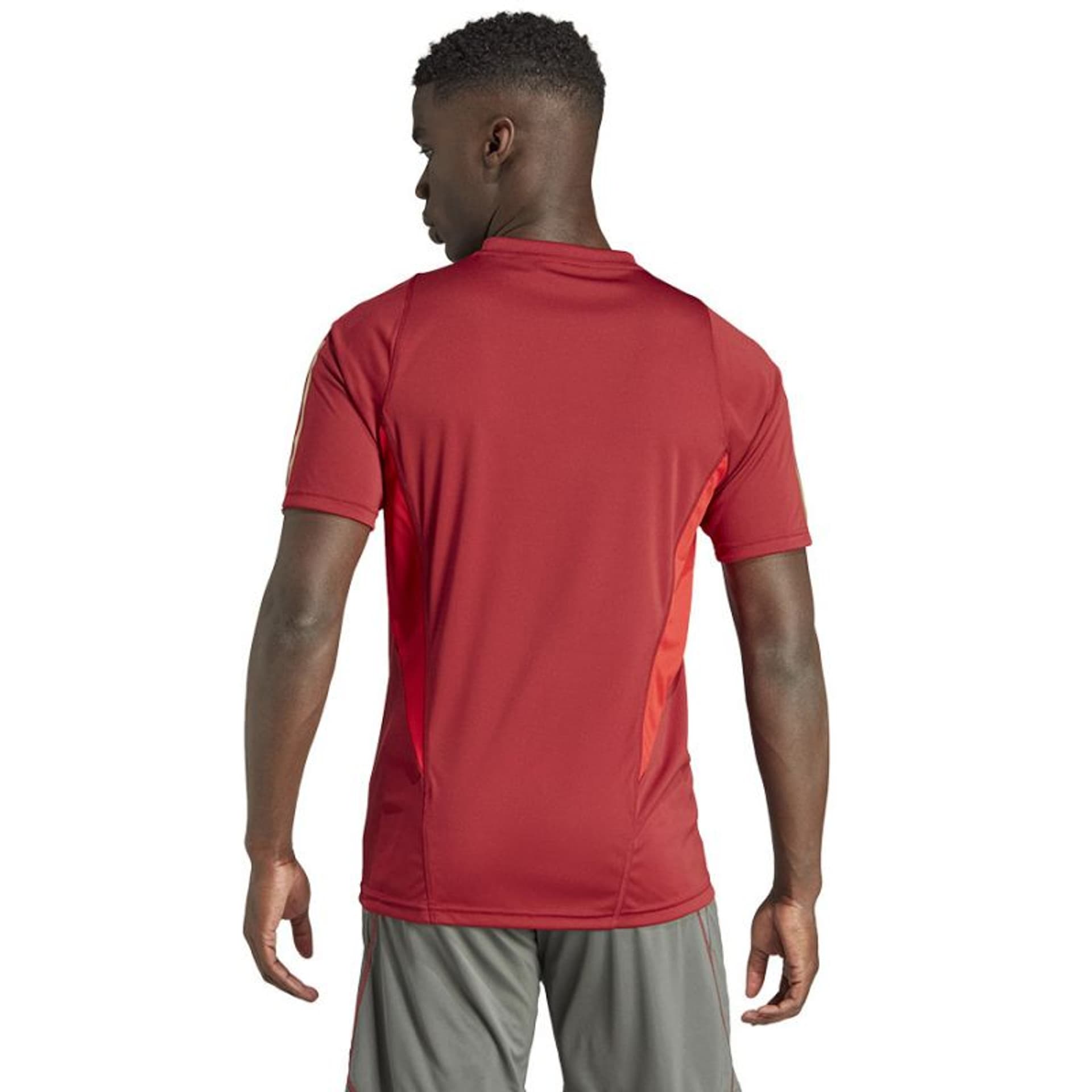 

Koszulka adidas Arsenal FC TR JSY M (kolor Czerwony, rozmiar M)