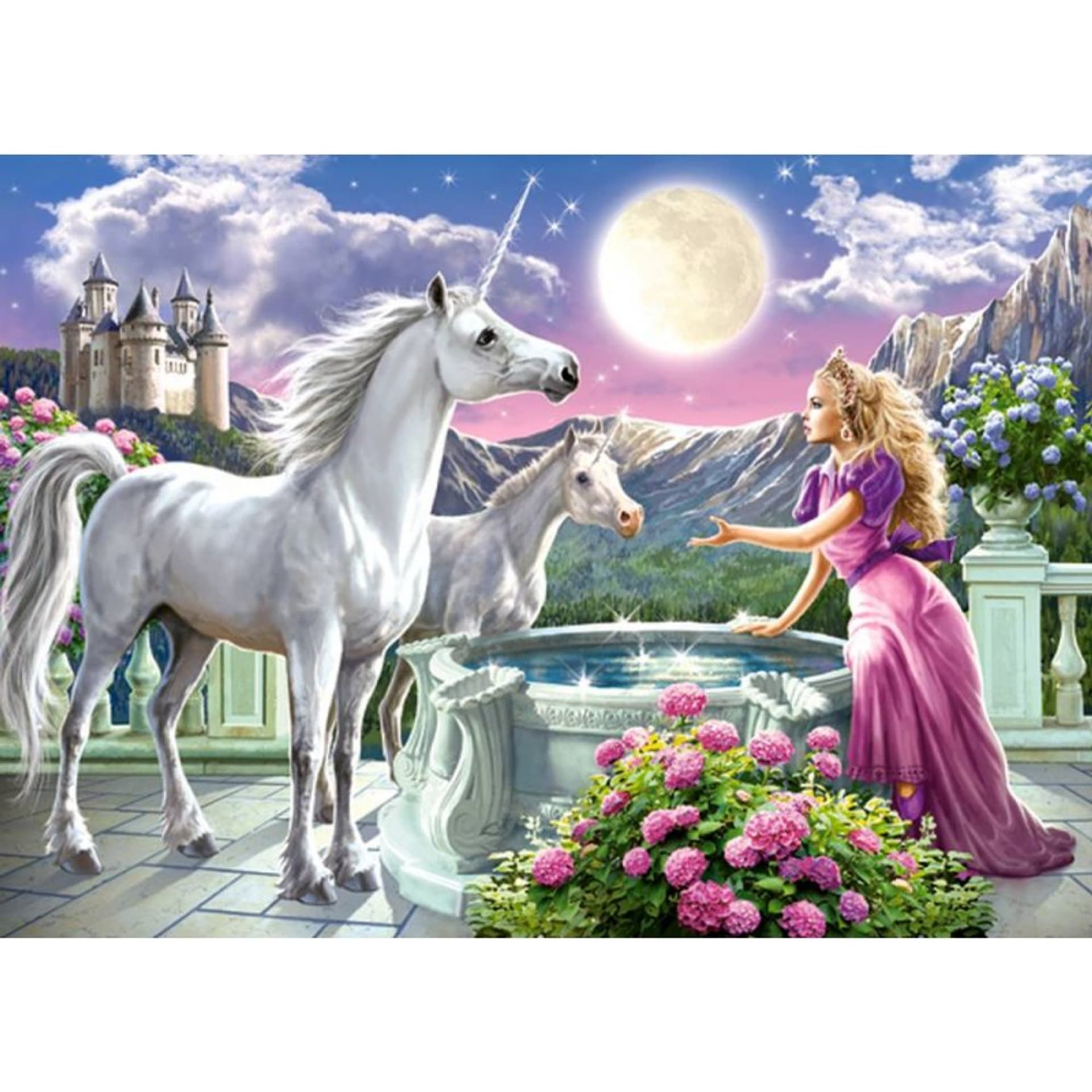 

Puzzle 120el. princess unicorn