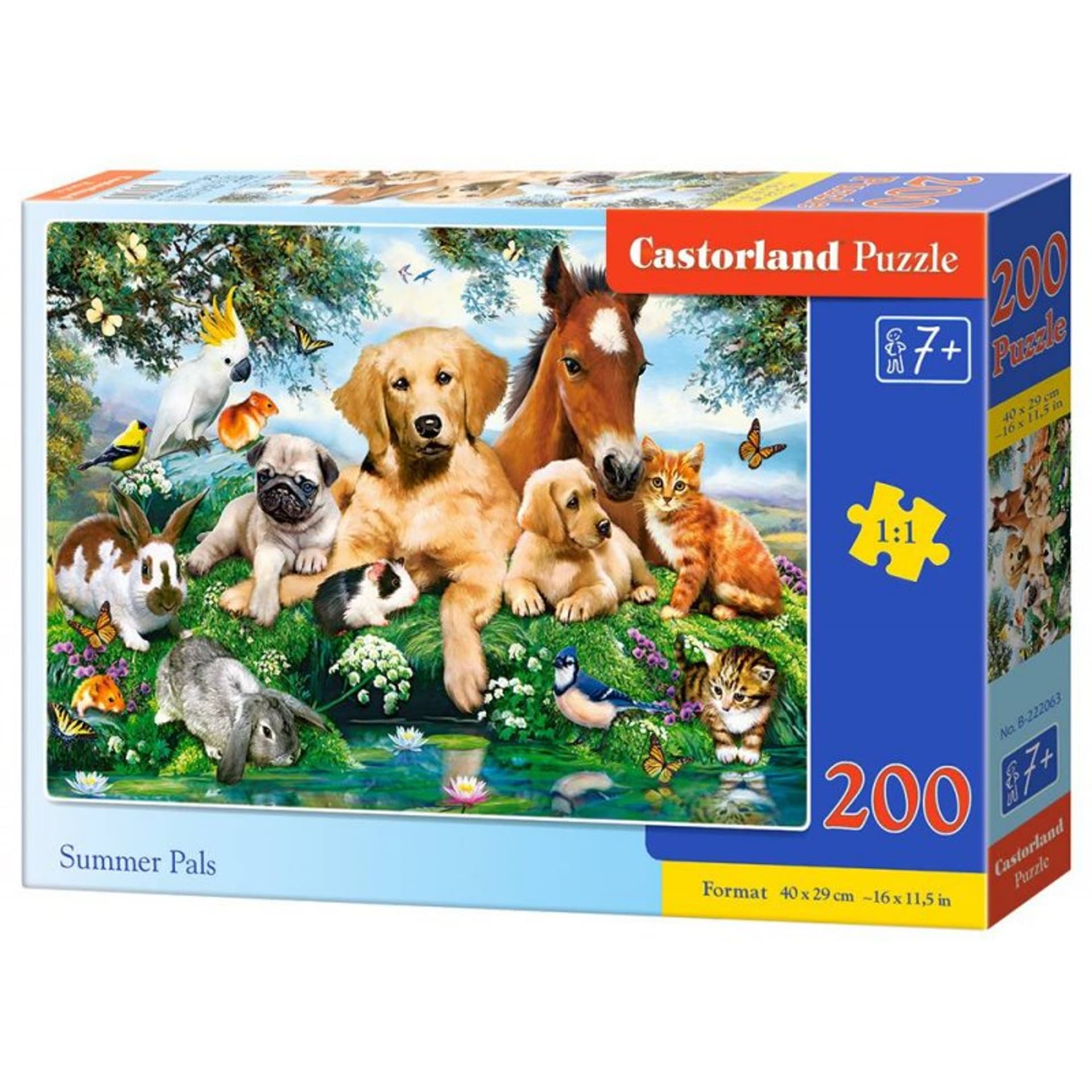 

Puzzle 200 summer pals