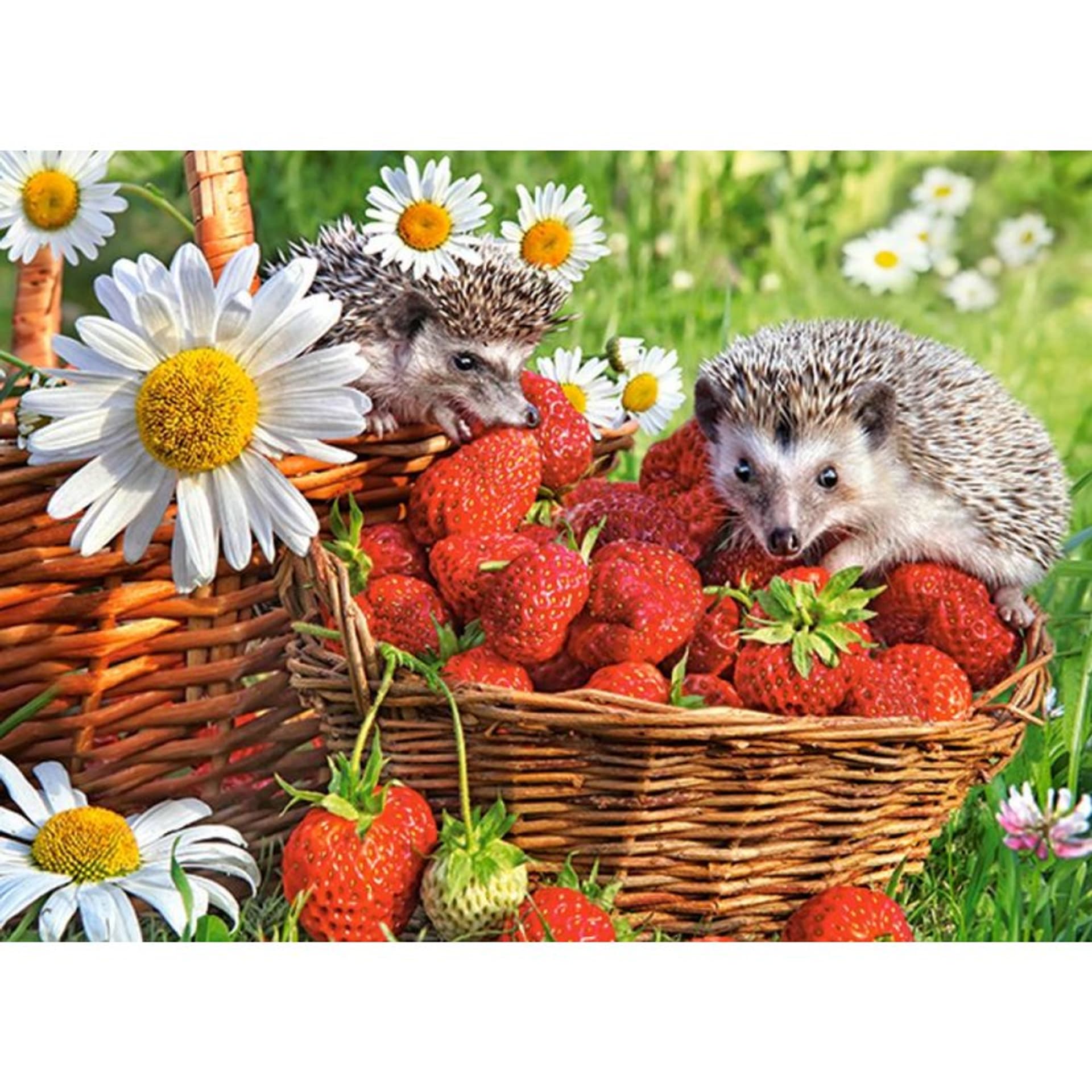 

Puzzle 200 strawberry dessert