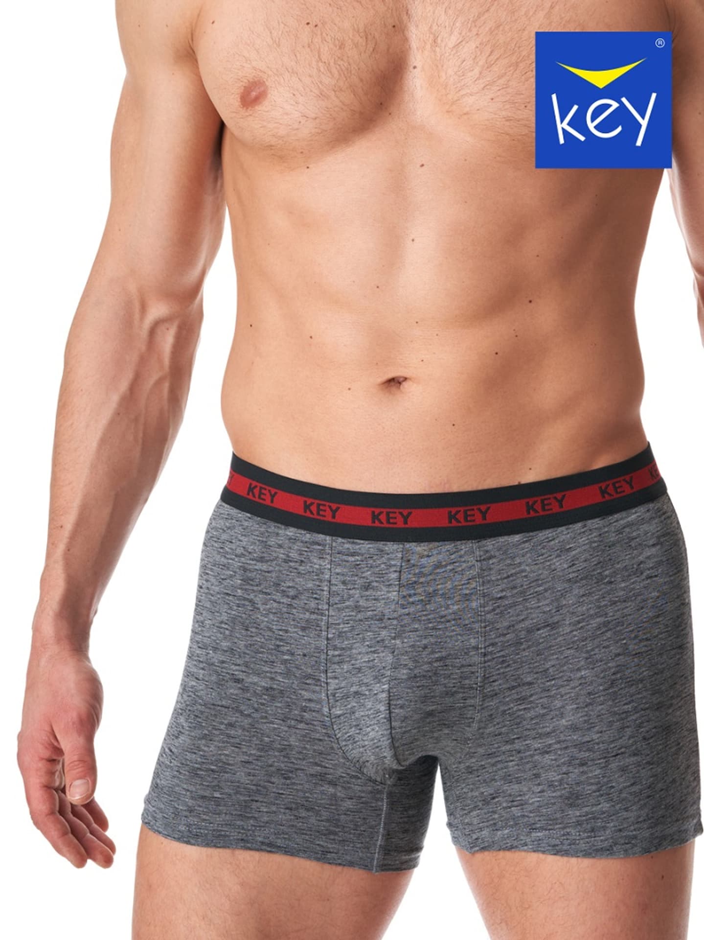 

SZORTY KEY MXH-178 B23 (kolor szary, rozmiar XXL)