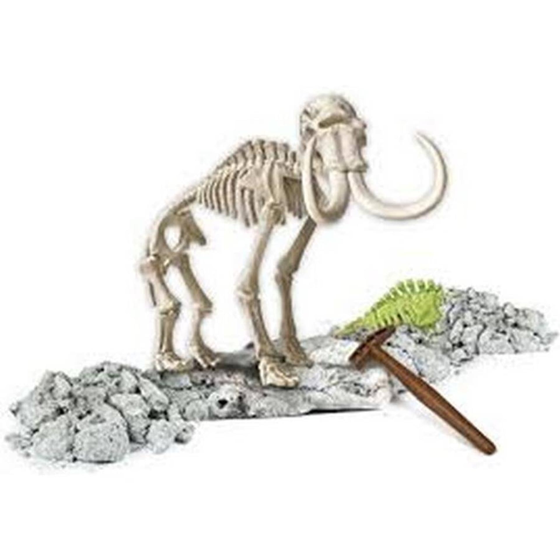 

Zestaw Kreatywny Skamieniałości Mamut Fluorescencyjny CLEMENTONI 60890