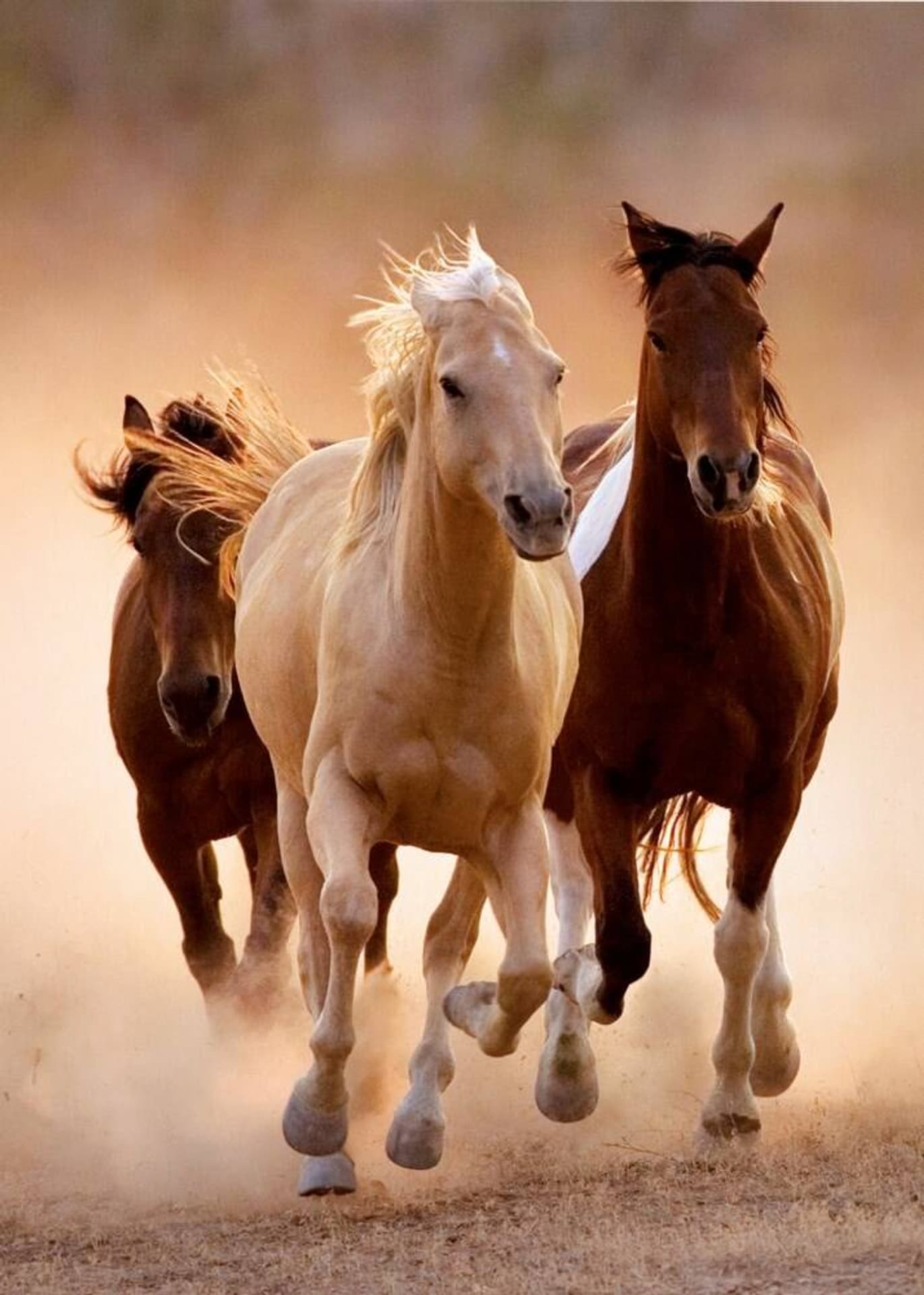 

Puzzle 1000el Running Horses CLEMENTONI 39168