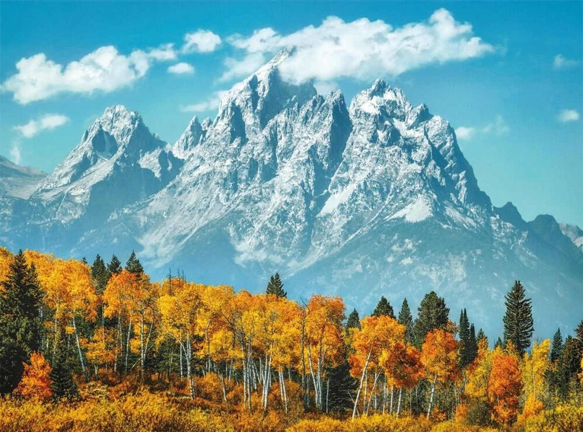 

Puzzle 500 elementów Grand Teton In Fall CLEMENTONI 35034