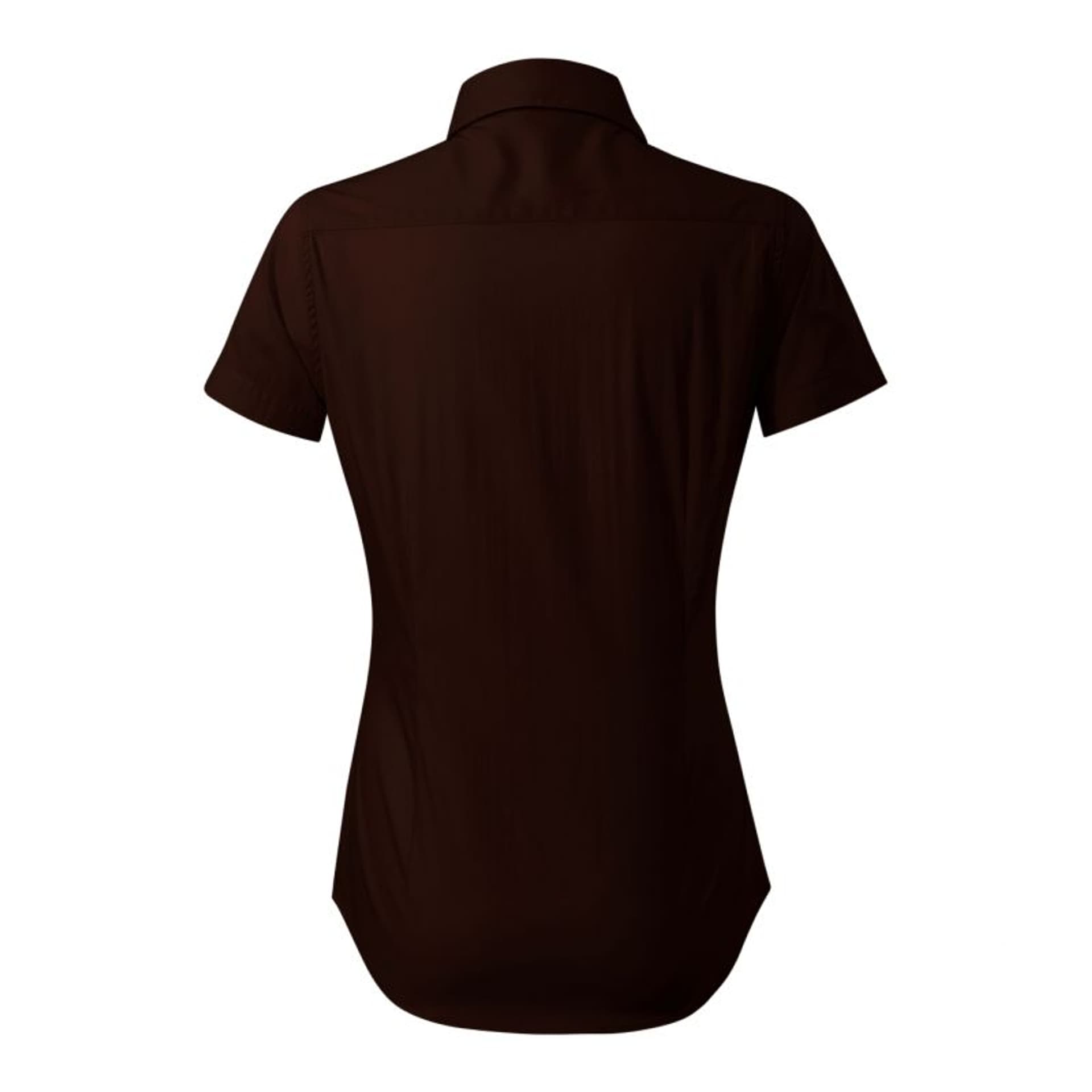 

Koszula Malfini Flash W (kolor Brązowy, rozmiar 2XL)
