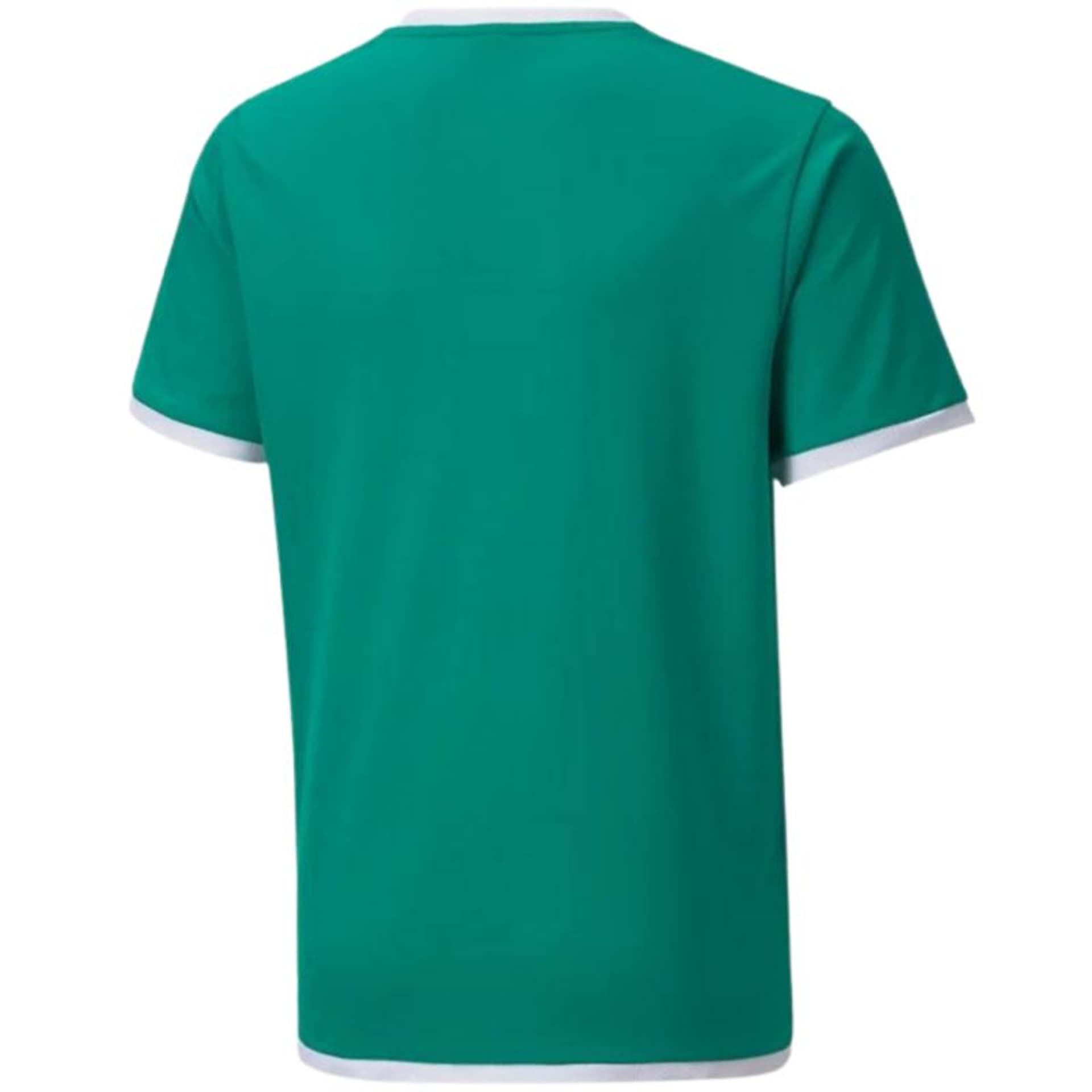 

Koszulka Puma teamLIGA Jersey Jr 704925 (kolor Zielony, rozmiar 176cm)