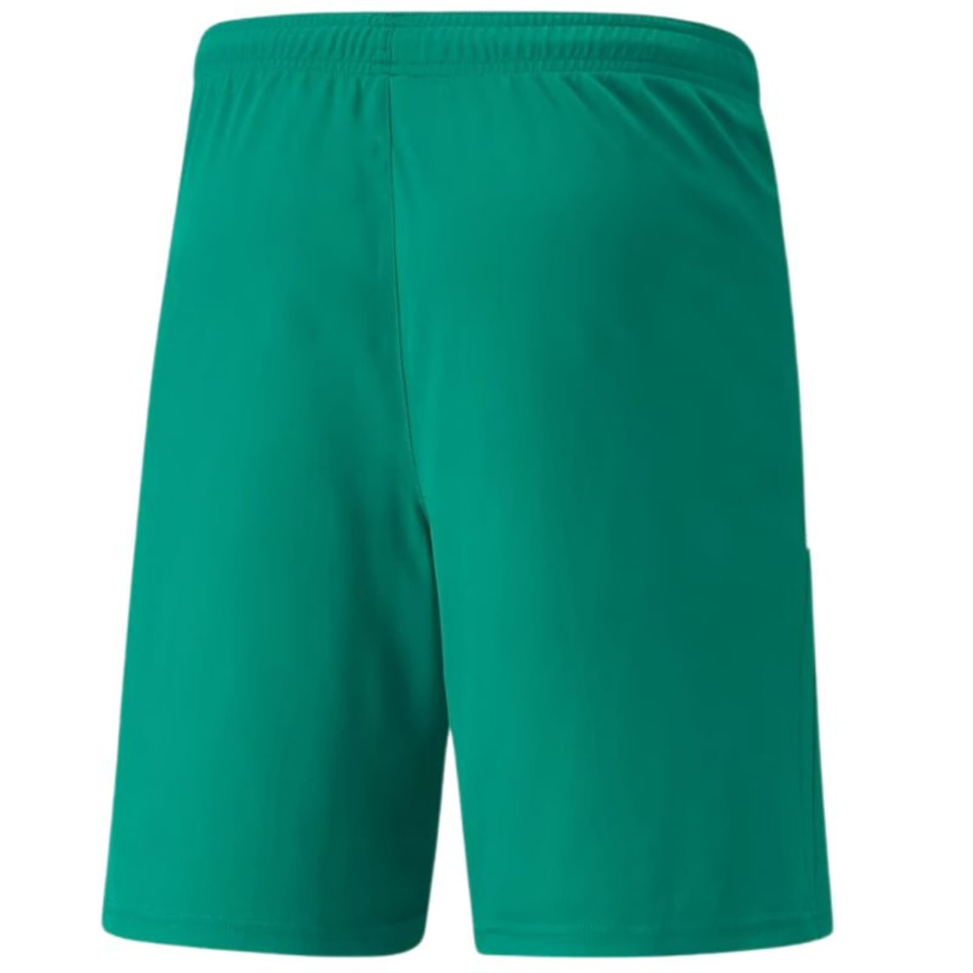 

Spodenki Puma teamLIGA M 704924 (kolor Zielony, rozmiar L)