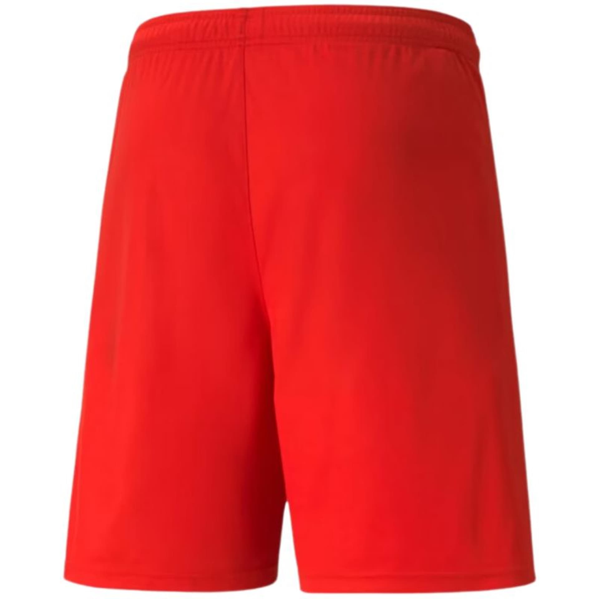 

Spodenki Puma teamLIGA M 704924 (kolor Czerwony, rozmiar XL)