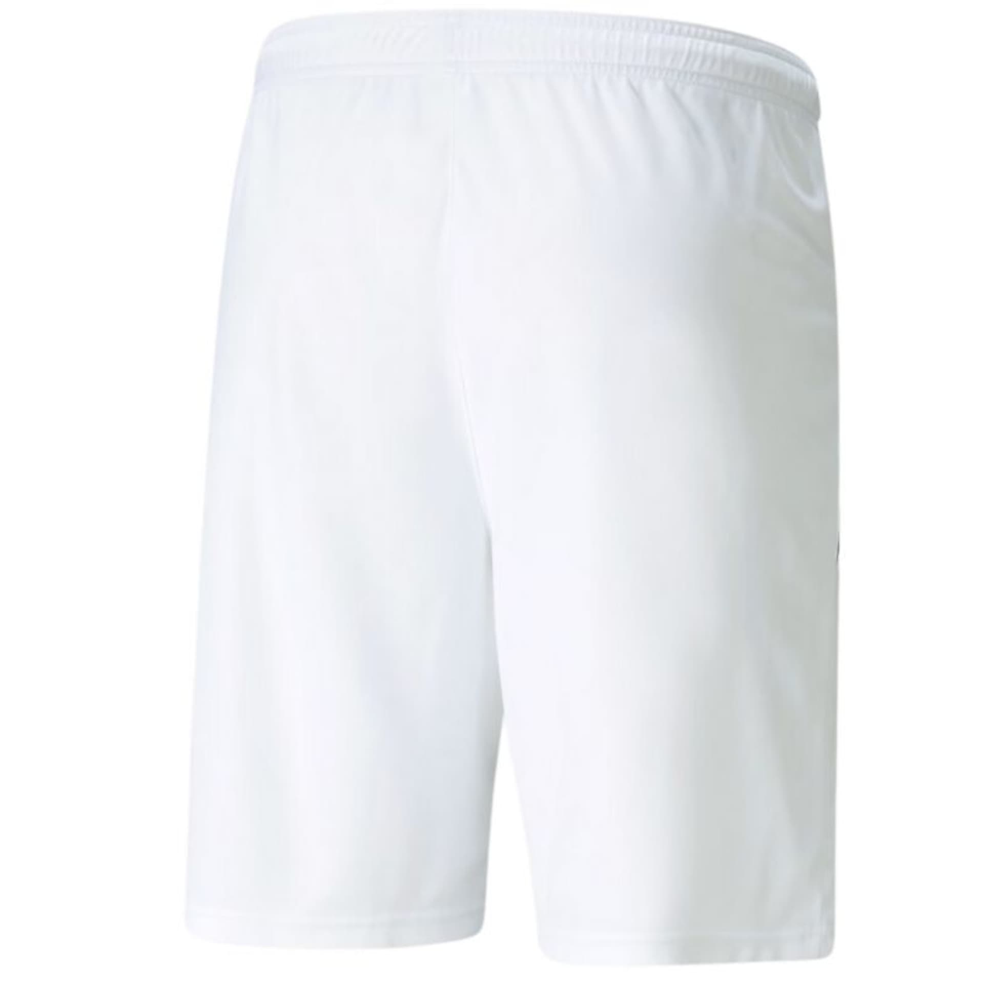 

Spodenki Puma teamLIGA M 704924 (kolor Biały, rozmiar 2XL)