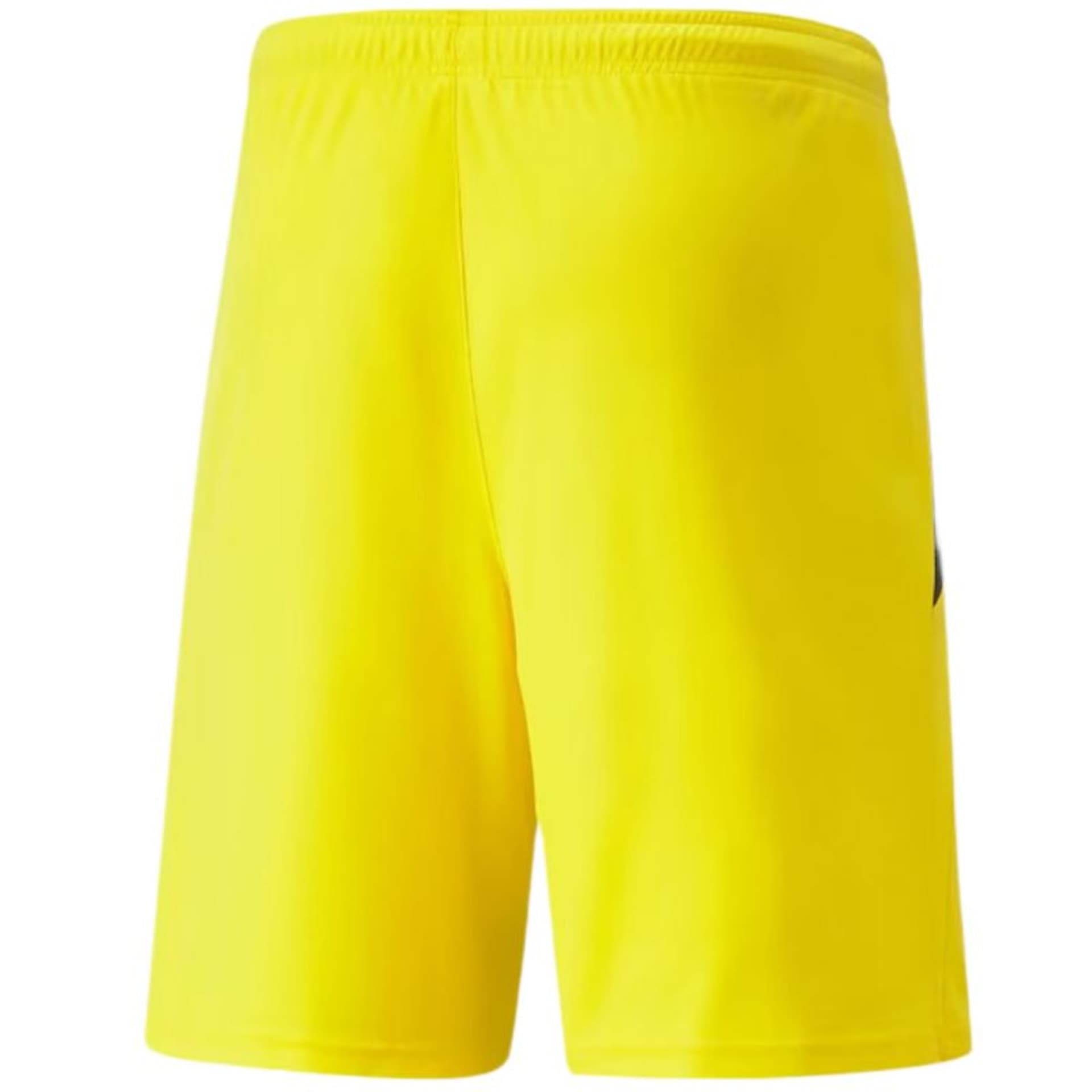 

Spodenki Puma teamLIGA M 704924 (kolor Żółty, rozmiar L)