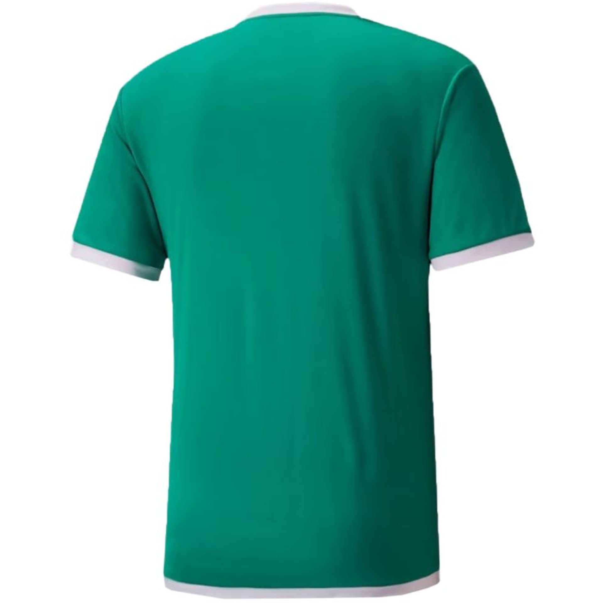 

Koszulka Puma teamLIGA Jersey M 704917 (kolor Zielony, rozmiar S)