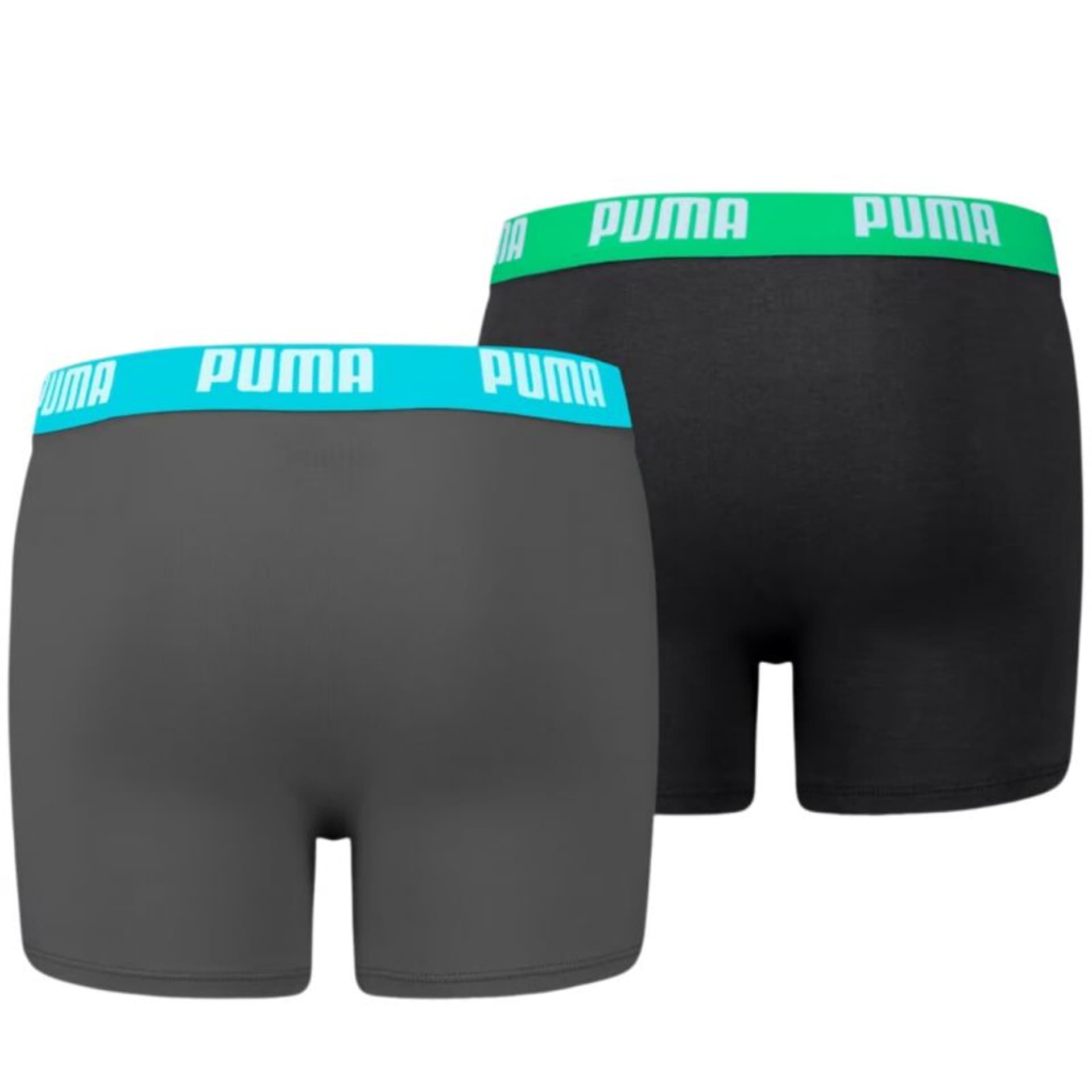 

Bokserki Puma Basic Boxer 2P Jr 935454 01 (kolor Czarny. Szary/Srebrny, rozmiar 164cm)
