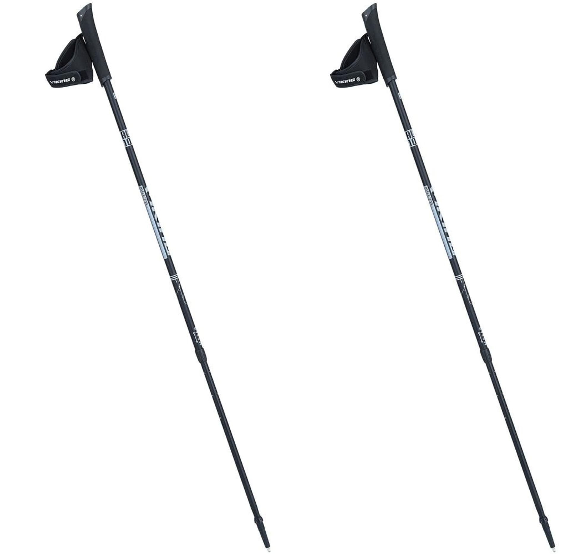 

Kije Viking Valo Pro Nordic Walking czarno/srebrne