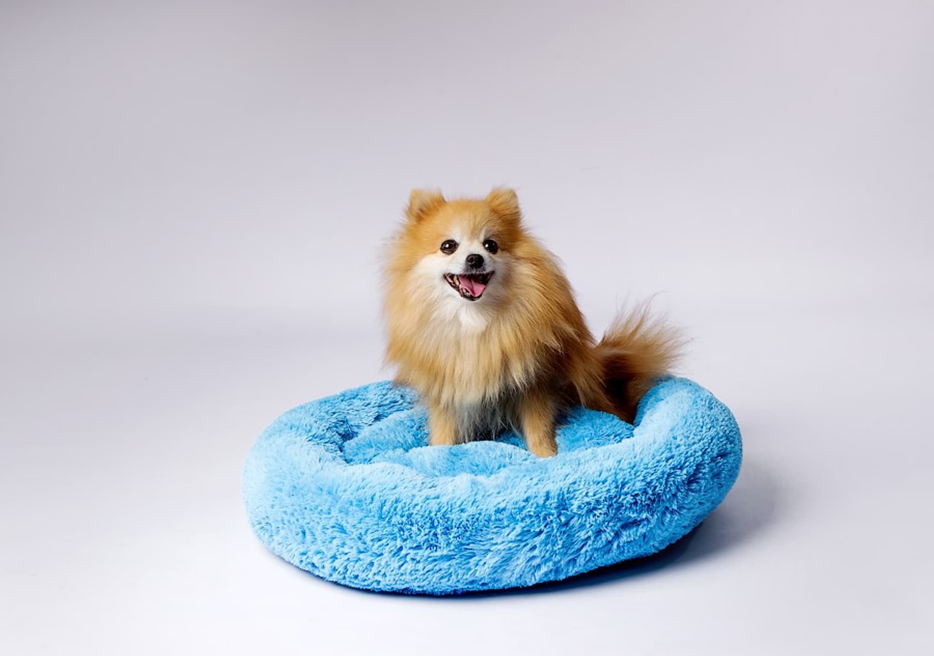 

Legowisko SHAGGY niebieski M 57x57x10