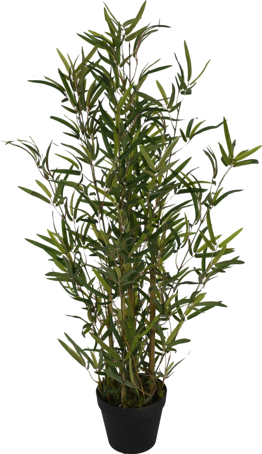 

KWIAT SZTUCZNY BAMBUS h90CM