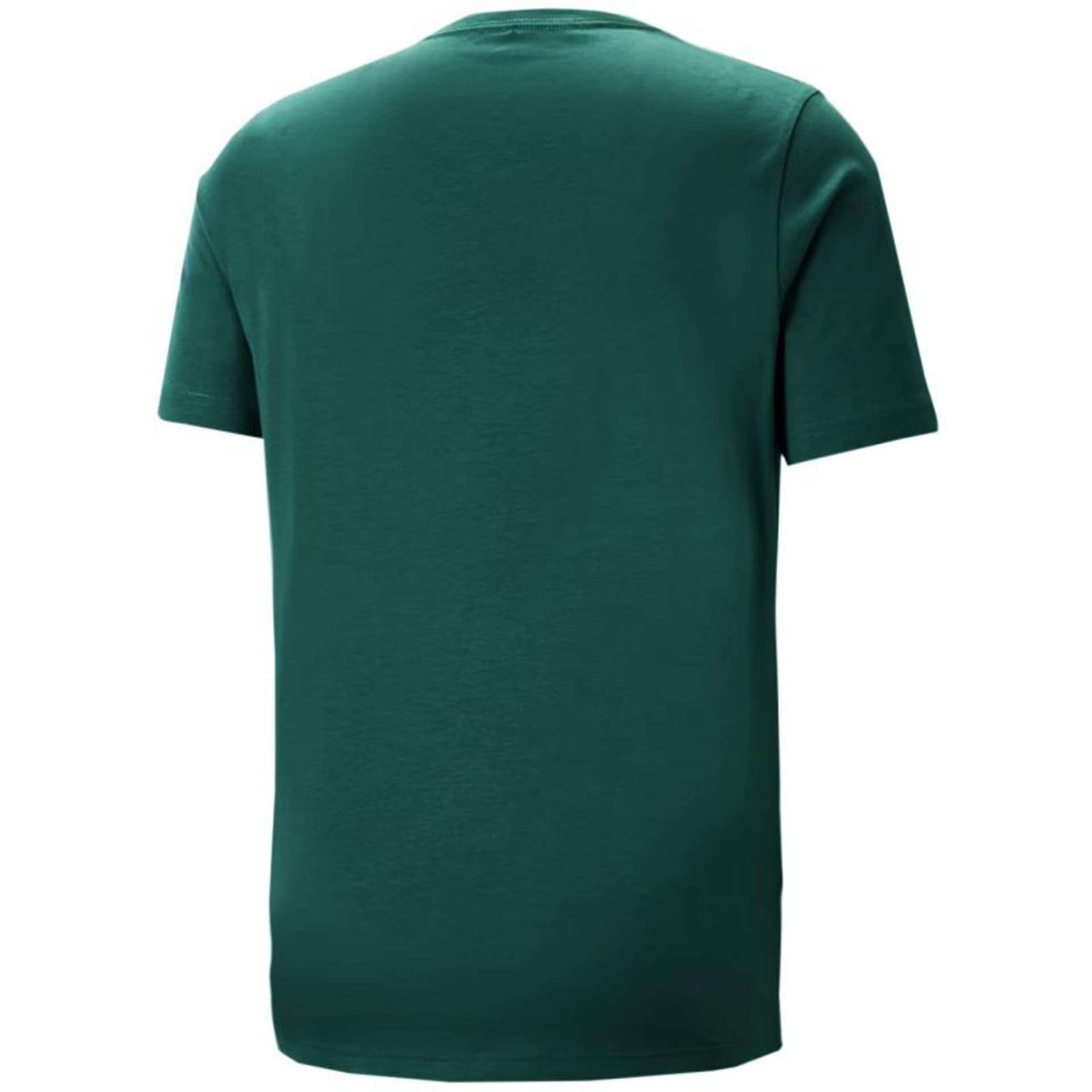 

Koszulka Puma Ess+ 2 Col Logo Tee M 586759 (kolor Zielony, rozmiar M)