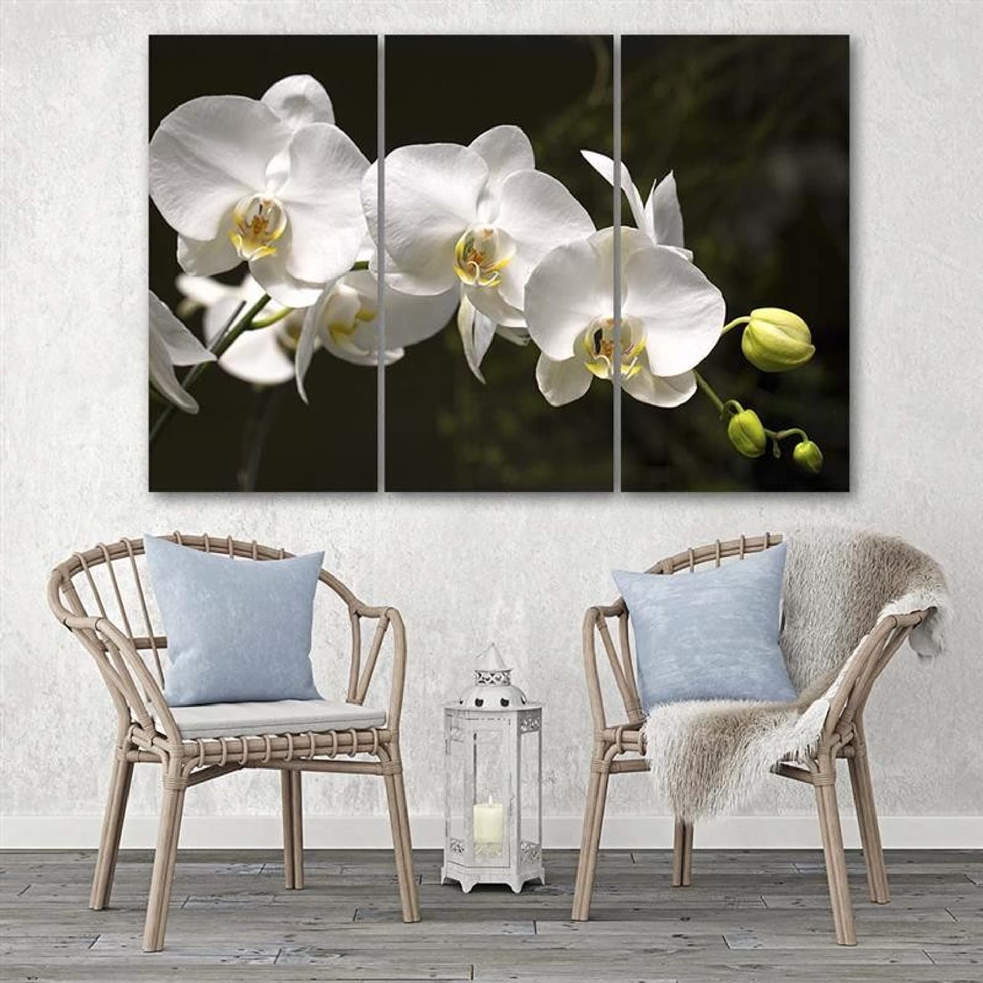 

Obraz trzyczęściowy Deco Panel, Biała orchidea na czarnym tle (Rozmiar 150x100)