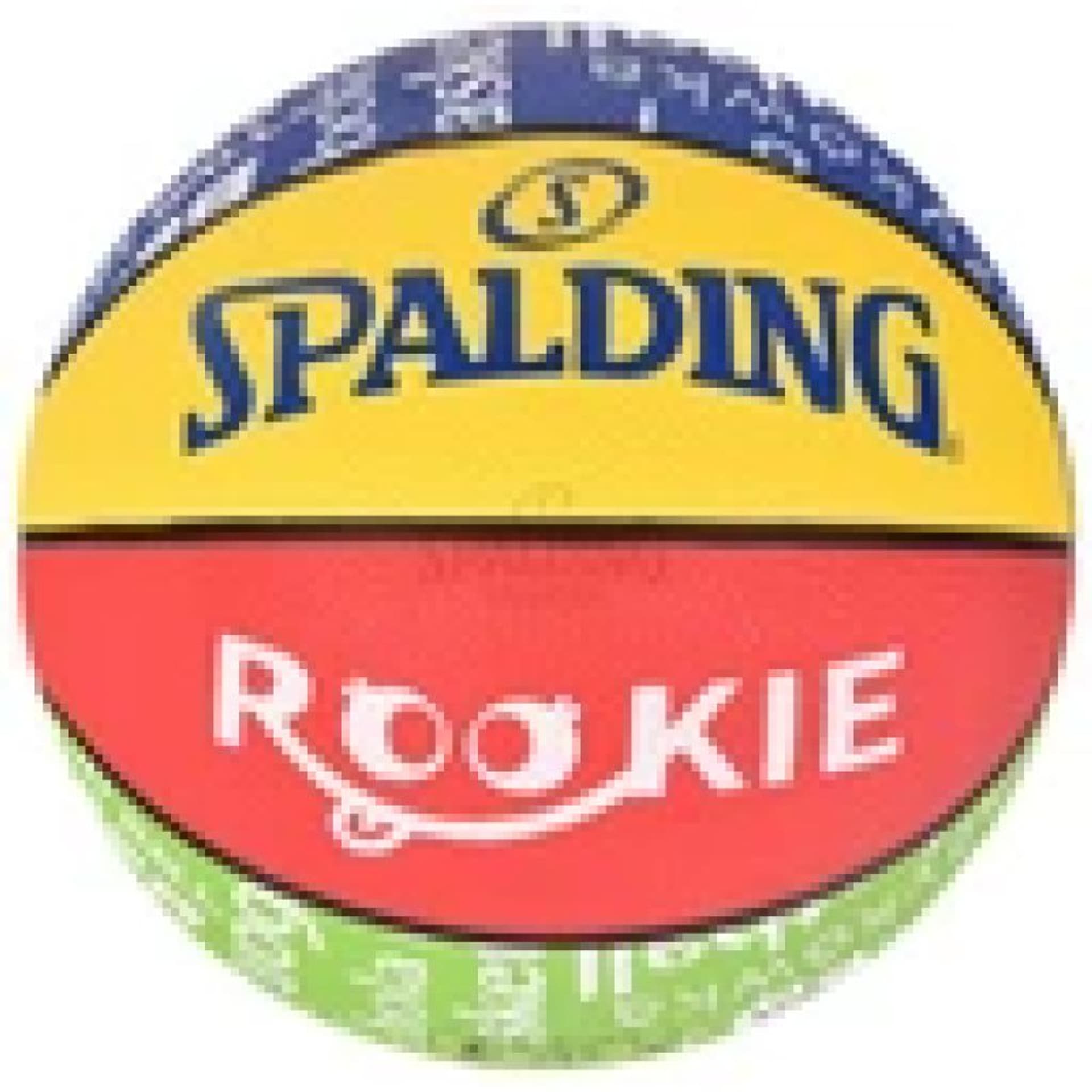 

Piłka Spalding Rookie (kolor Wielokolorowy, rozmiar 5)