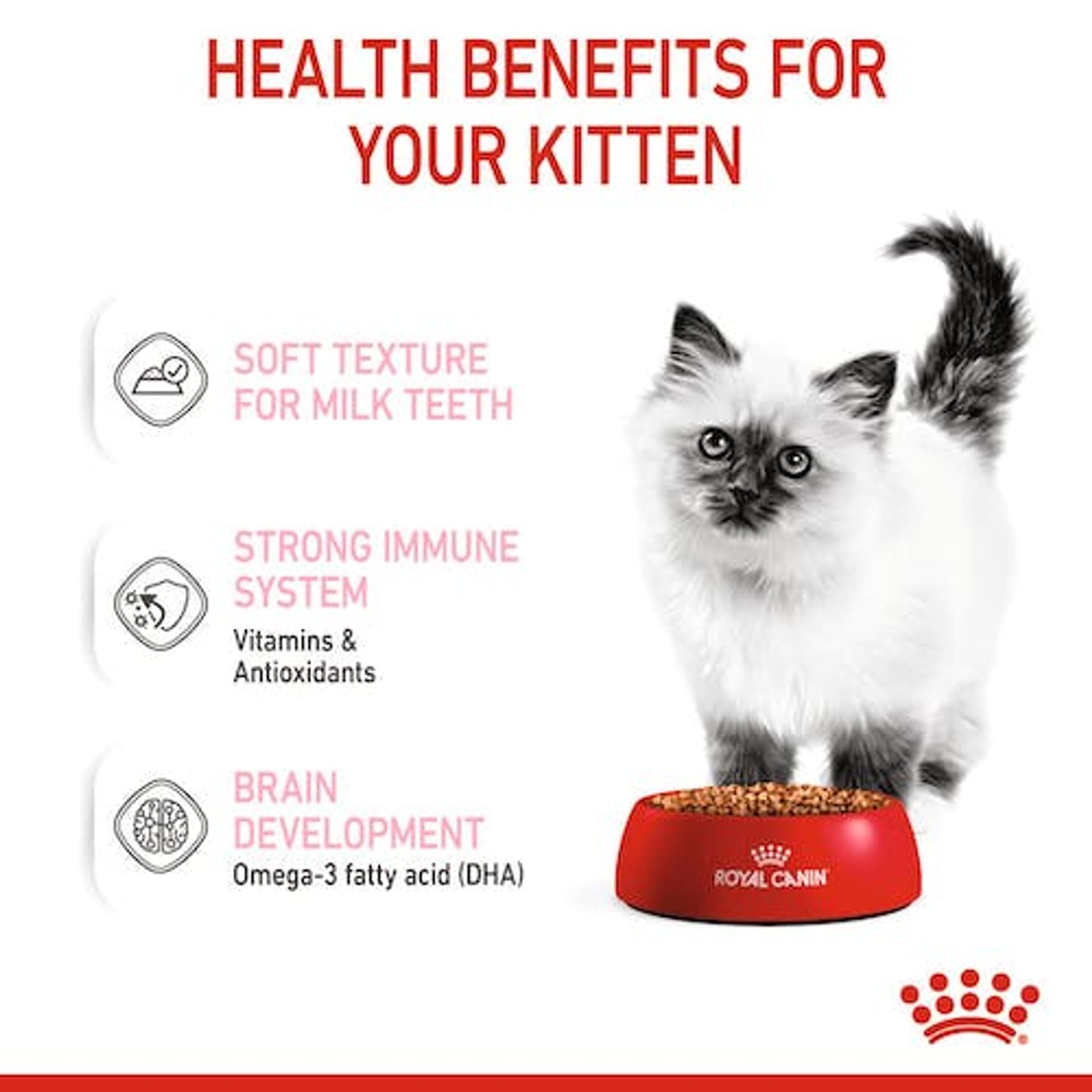 

Royal Canin Kitten w galaretce karma mokra dla kociąt do 12 miesiąca życia saszetka 85g