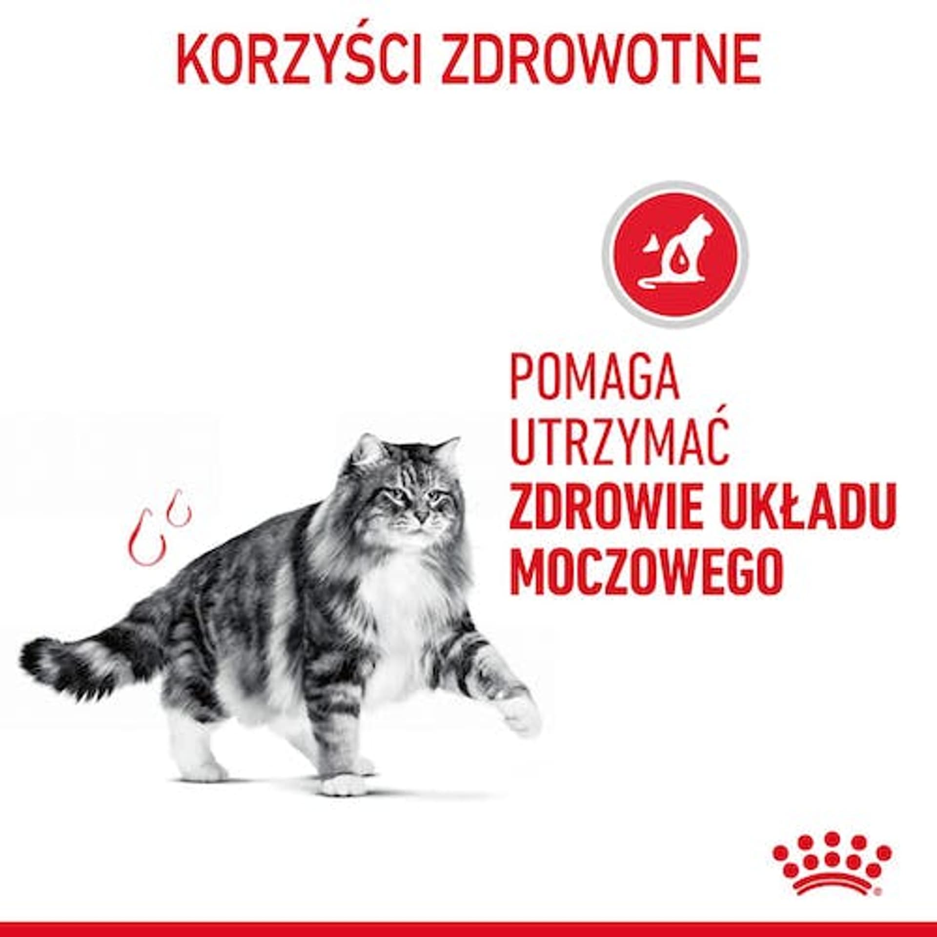 

Royal Canin Urinary Care karma mokra dla kotów dorosłych, ochrona dolnych dróg moczowych saszetka 85g