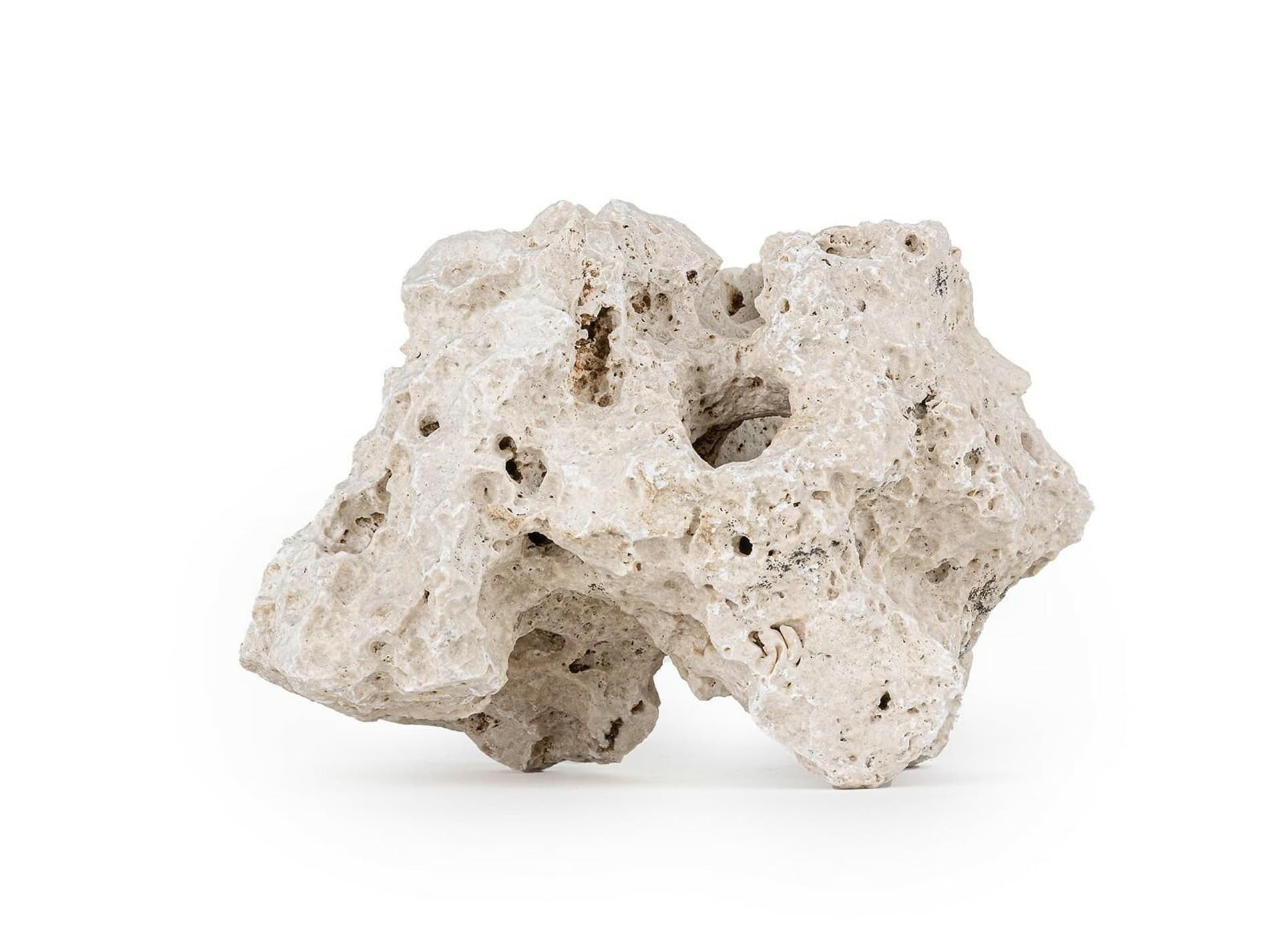 

Wapień drążony jedna sztuka 14-22 cm