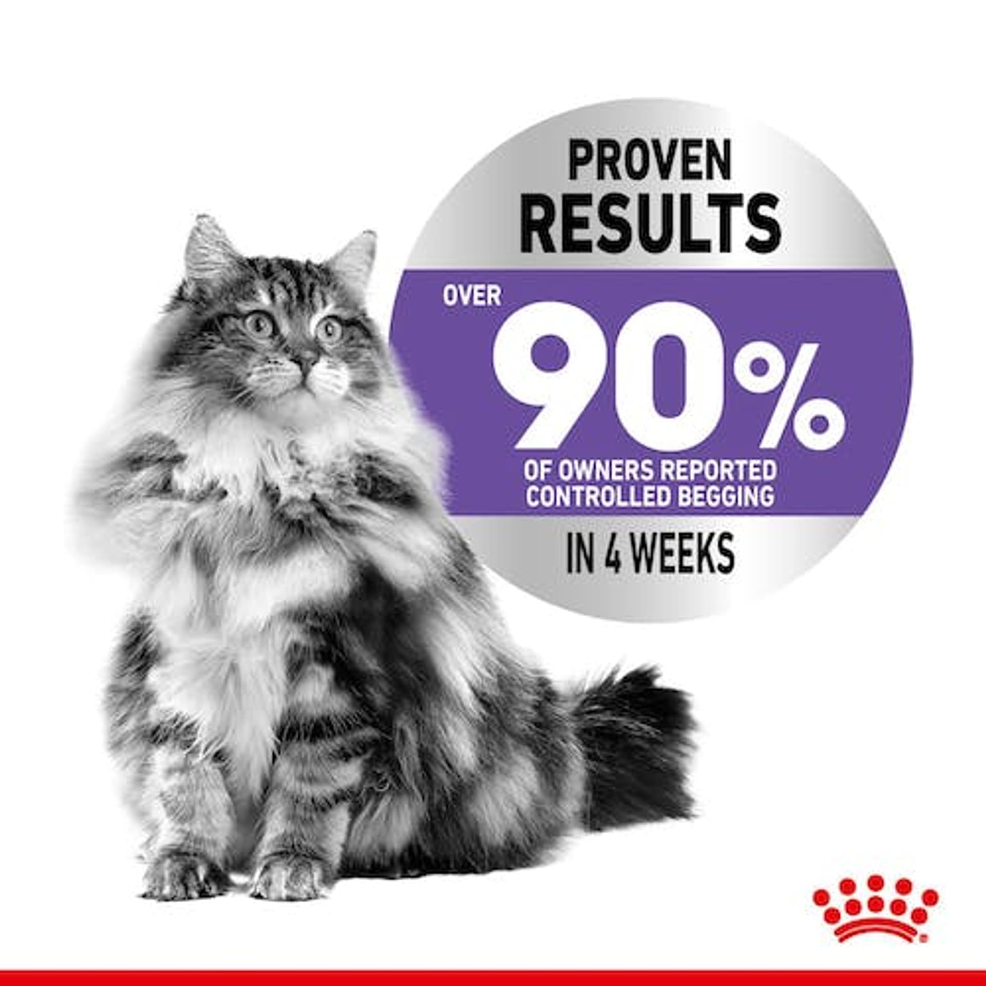 

Royal Canin Appetite Control Care karma mokra w sosie dla kotów dorosłych, domagających się jedzenia saszetka 85g