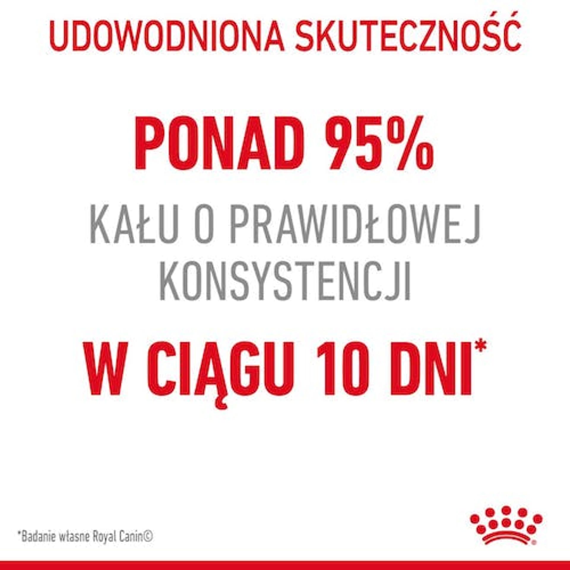 

Royal Canin Digestive Care karma sucha dla kotów dorosłych, wspomagająca przebieg trawienia 400g