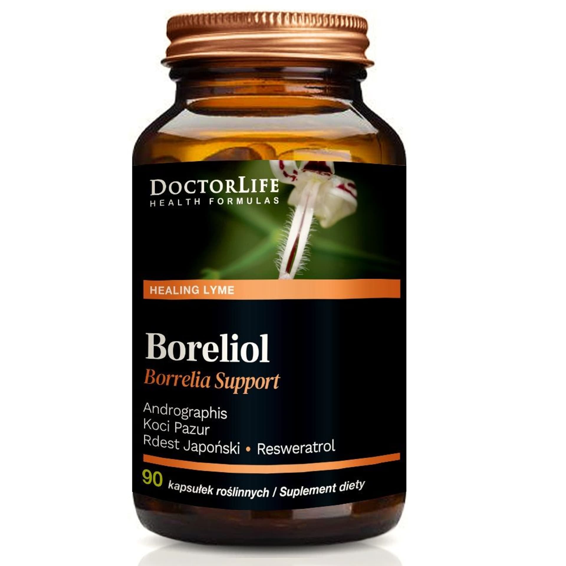 

Doctor Life Boreliol Borrelia Support suplement diety 90 kapsułek