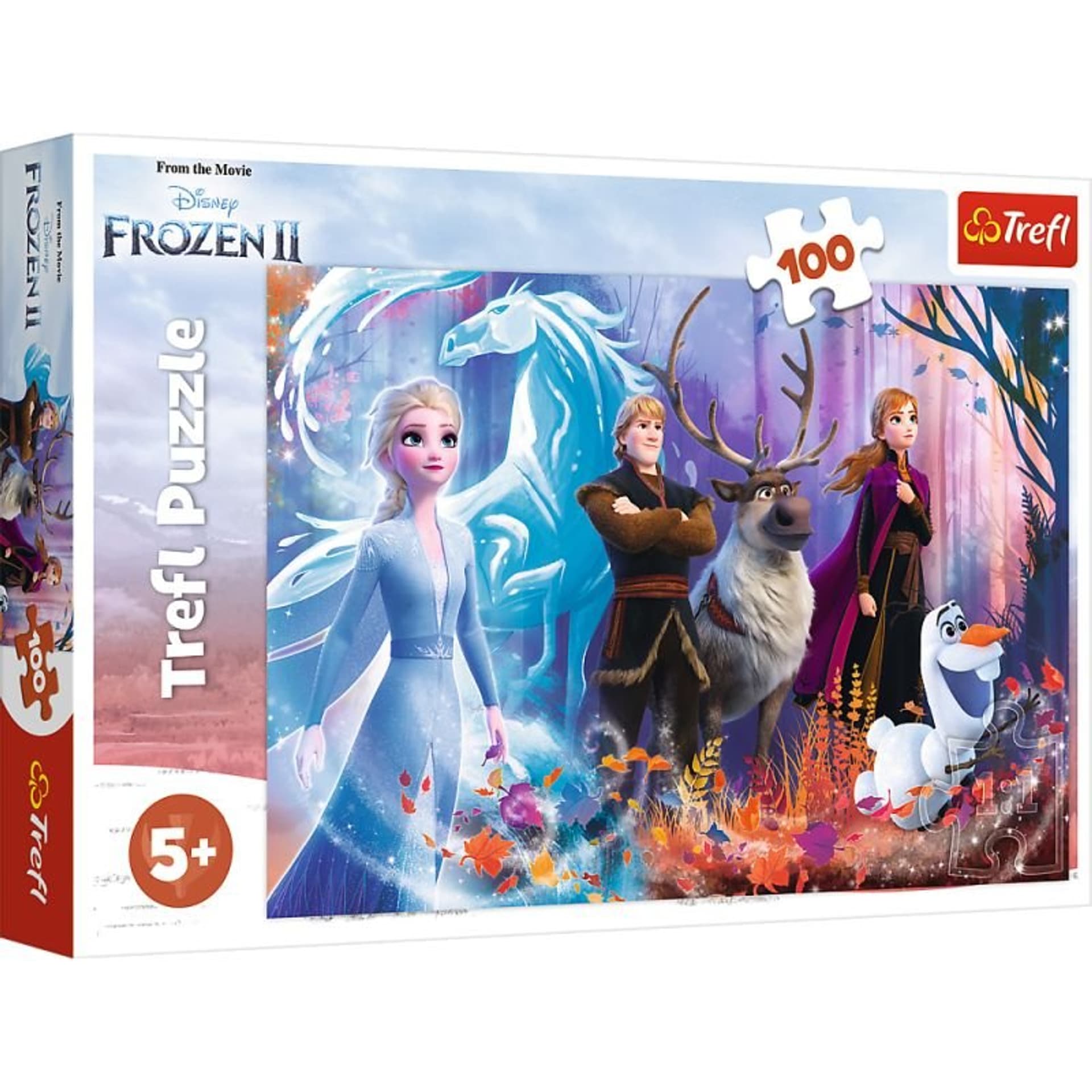 

Puzzle 100 magia krainy lodu 2