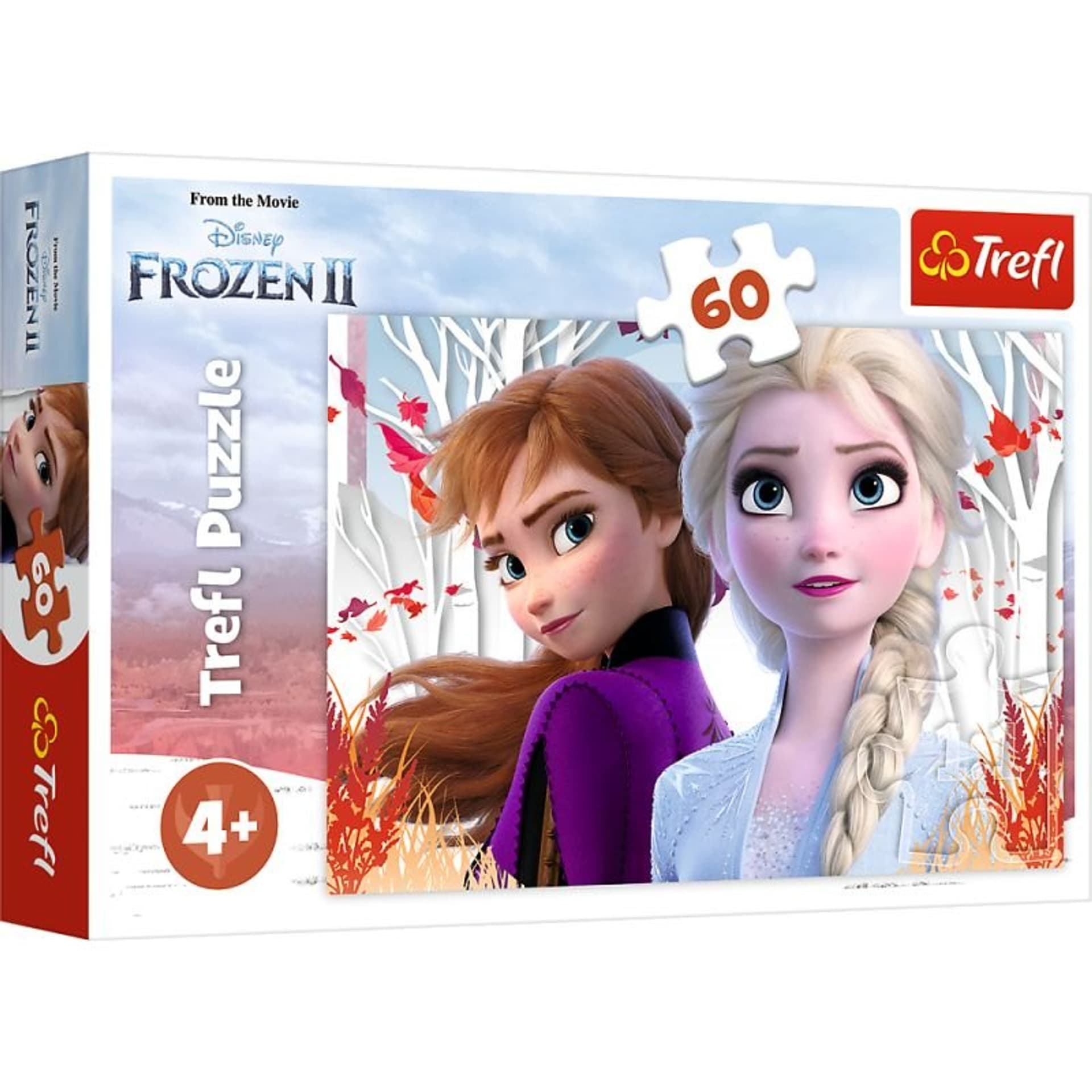 

Puzzle 60 świat anny i elsy