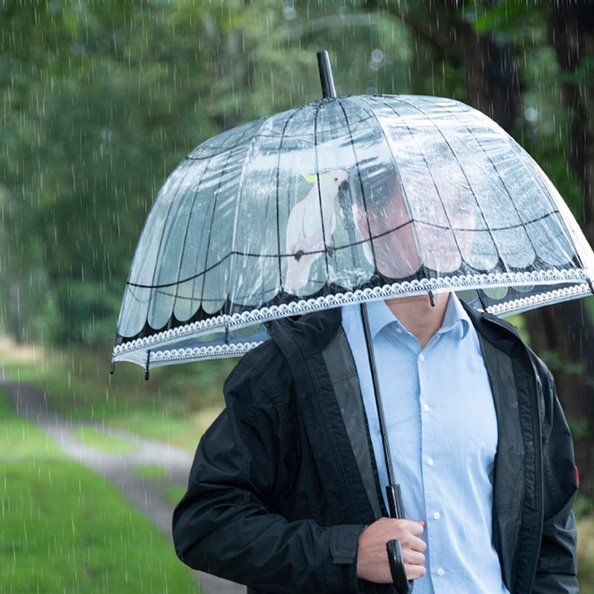 

Parasol transparentny klatka dla ptaków