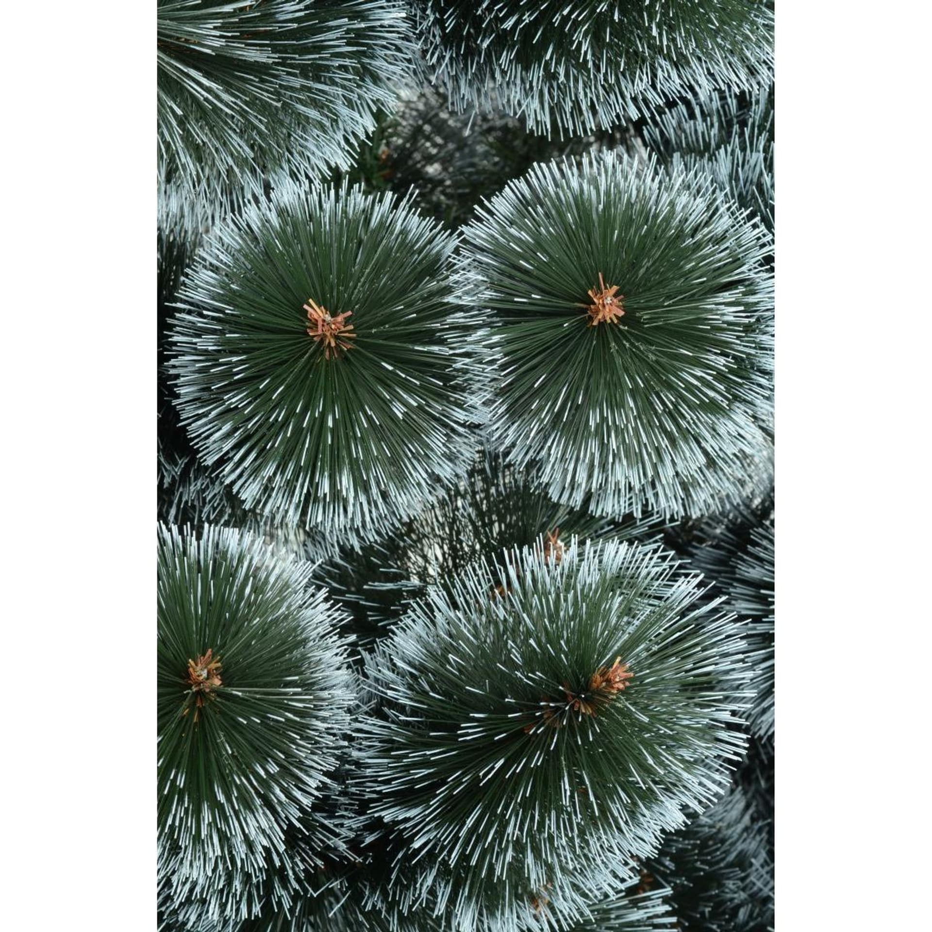 

CHOINKA ŻYŁKA KLARA ŚNIEŻNA 220CM