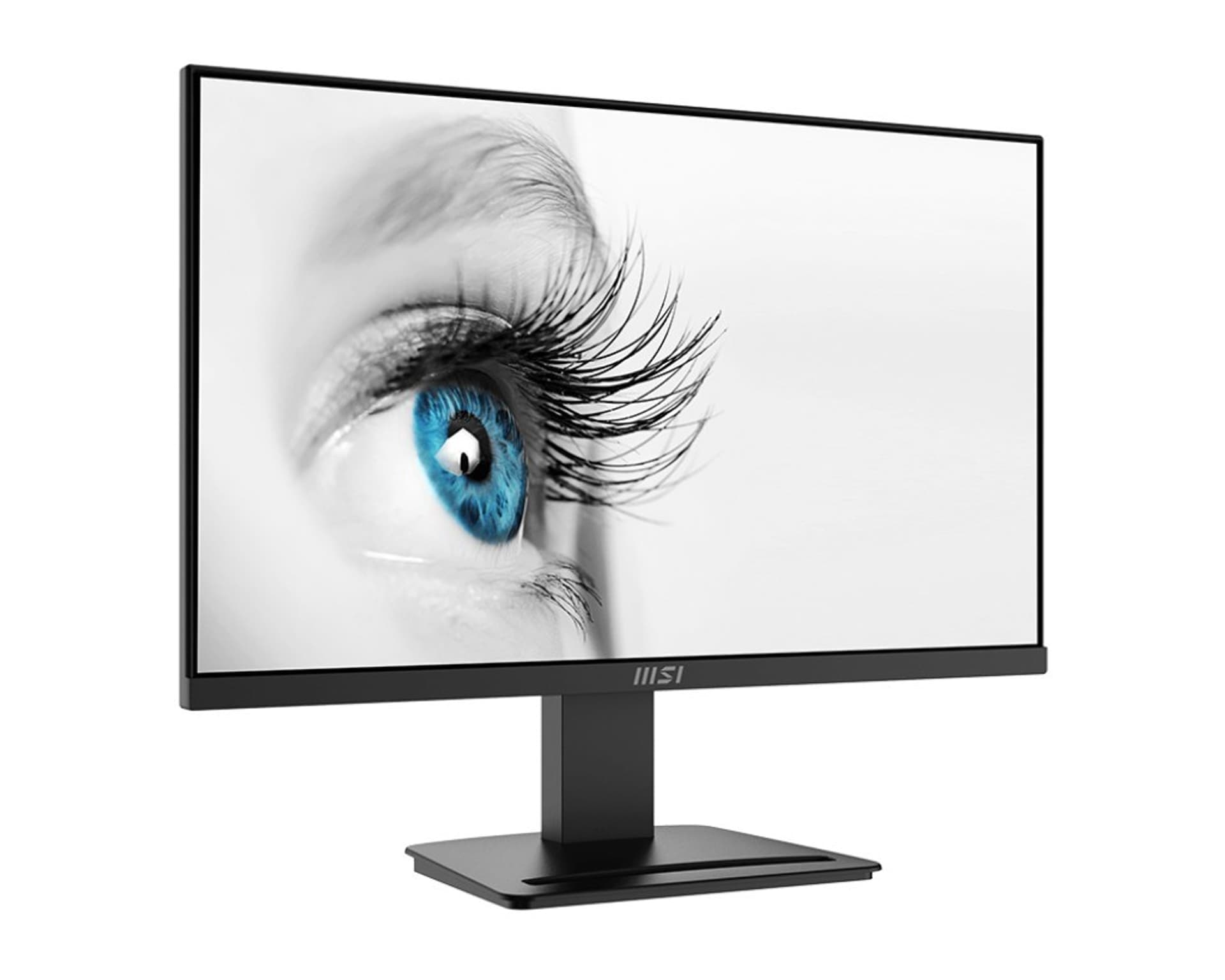 

Monitor MSI PRO MP2412