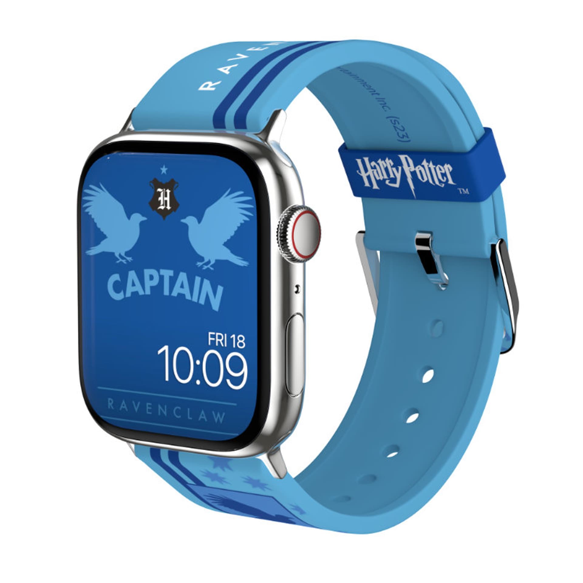 

Harry Potter - Pasek do Apple Watch 38/40/41/42/44/45/49 mm (House Pride - Ravenclaw)