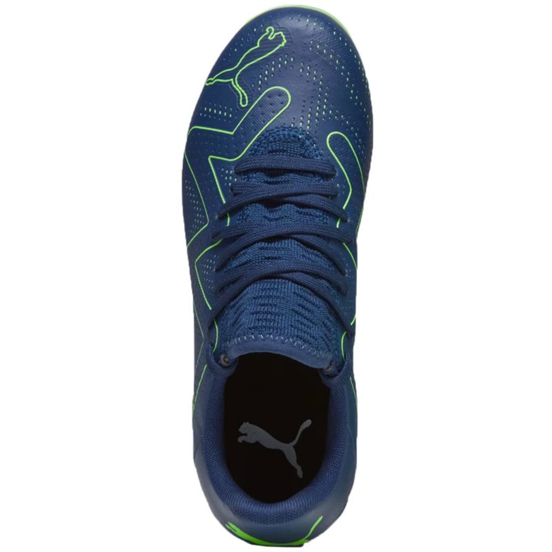 

Buty Piłkarskie Puma Future Play FG/AG Jr 107388 (kolor Granatowy, rozmiar 36)