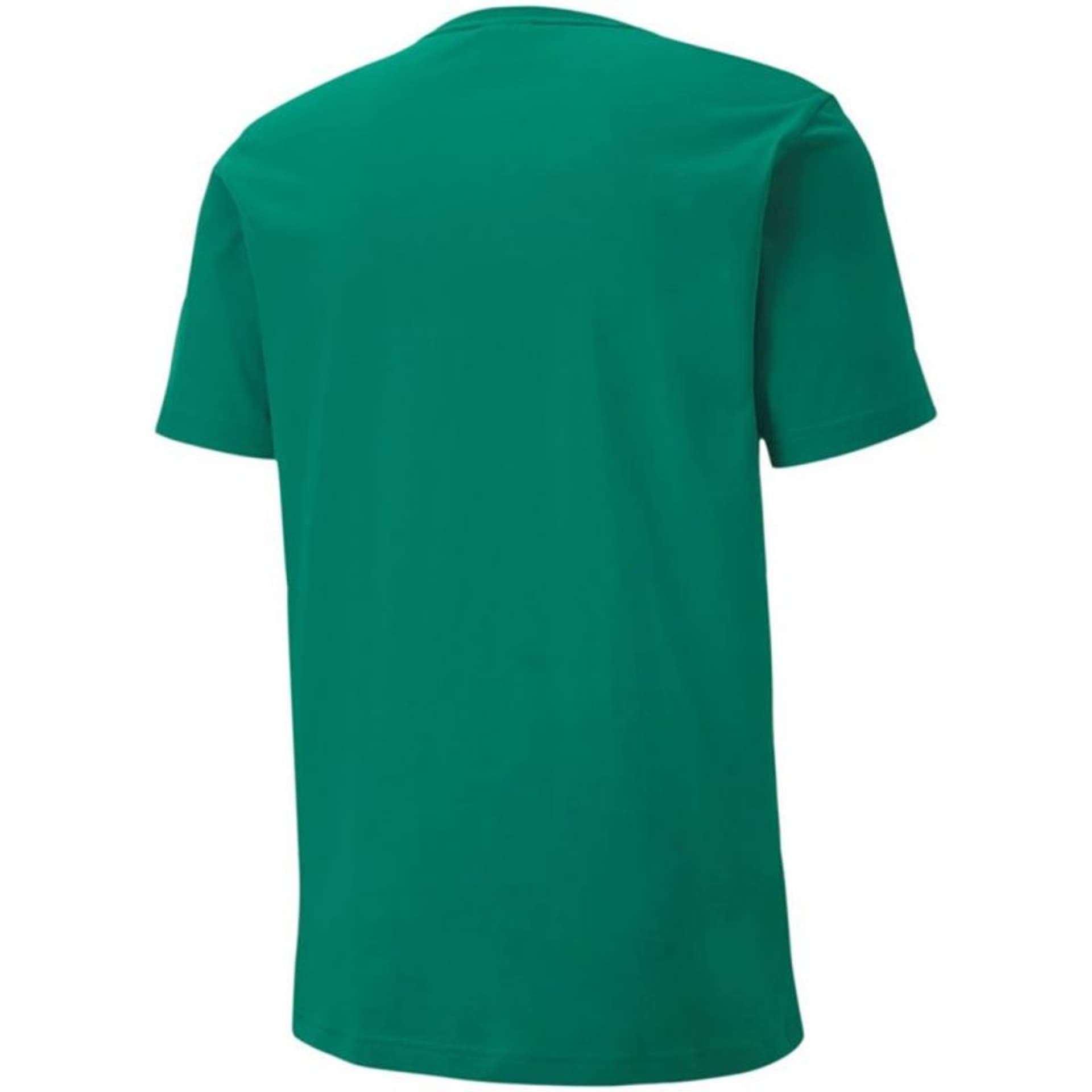 

Koszulka Puma teamGoal 23 Casuals M 656578 (kolor Zielony, rozmiar 2XL)