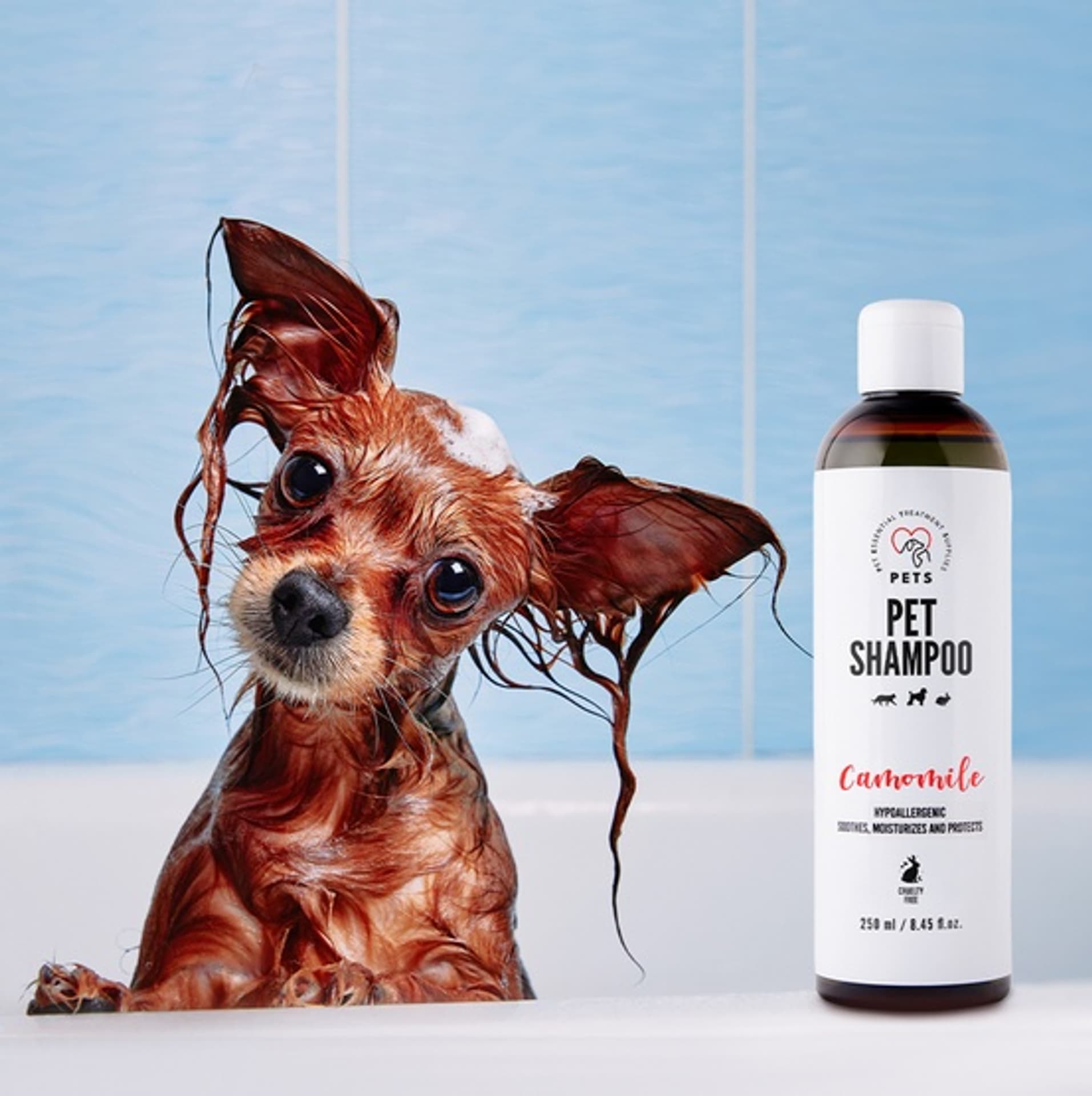 

PETS Pet Shampoo Camomile - szampon rumiankowy 250ml