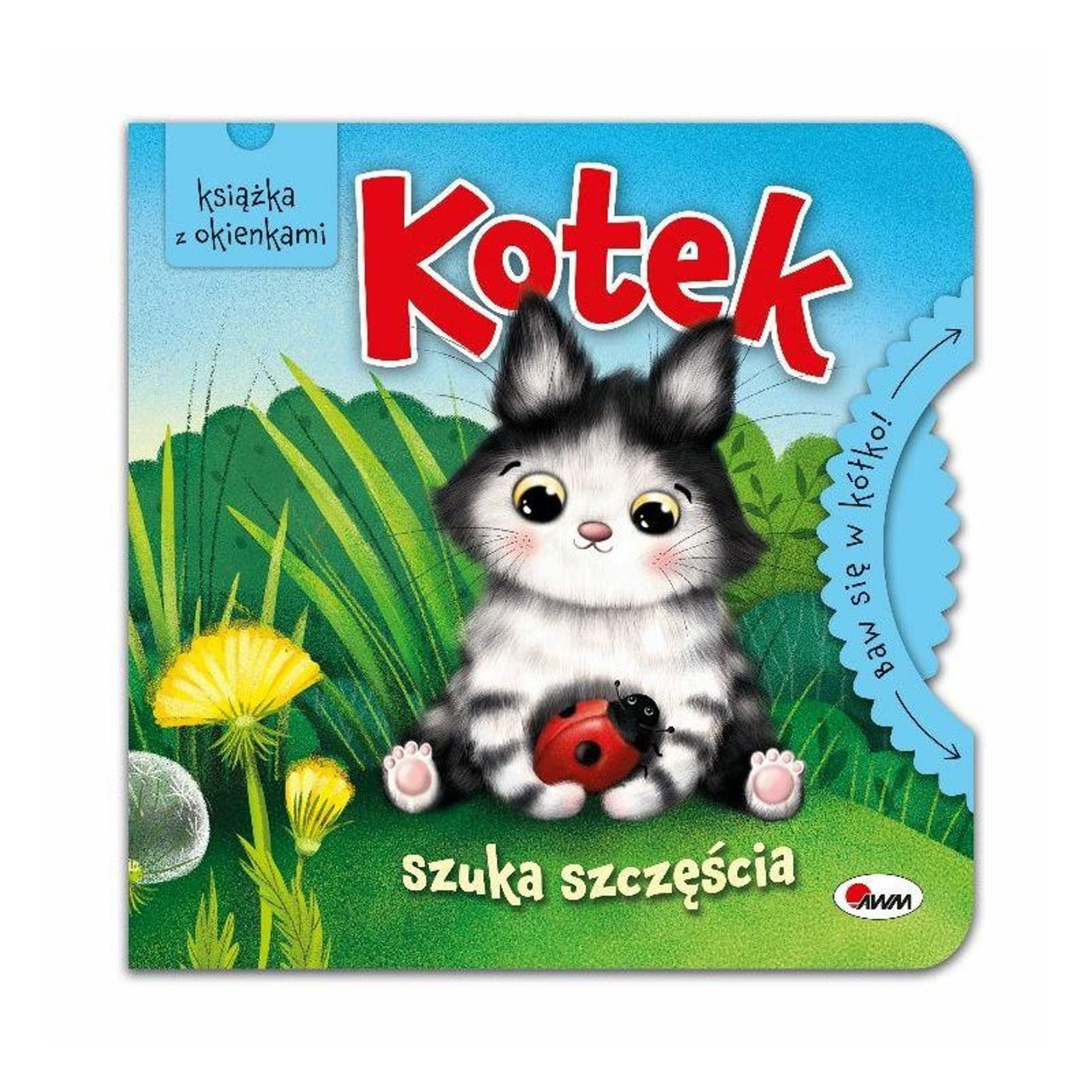 

W kółko kotek szuka szczęścia