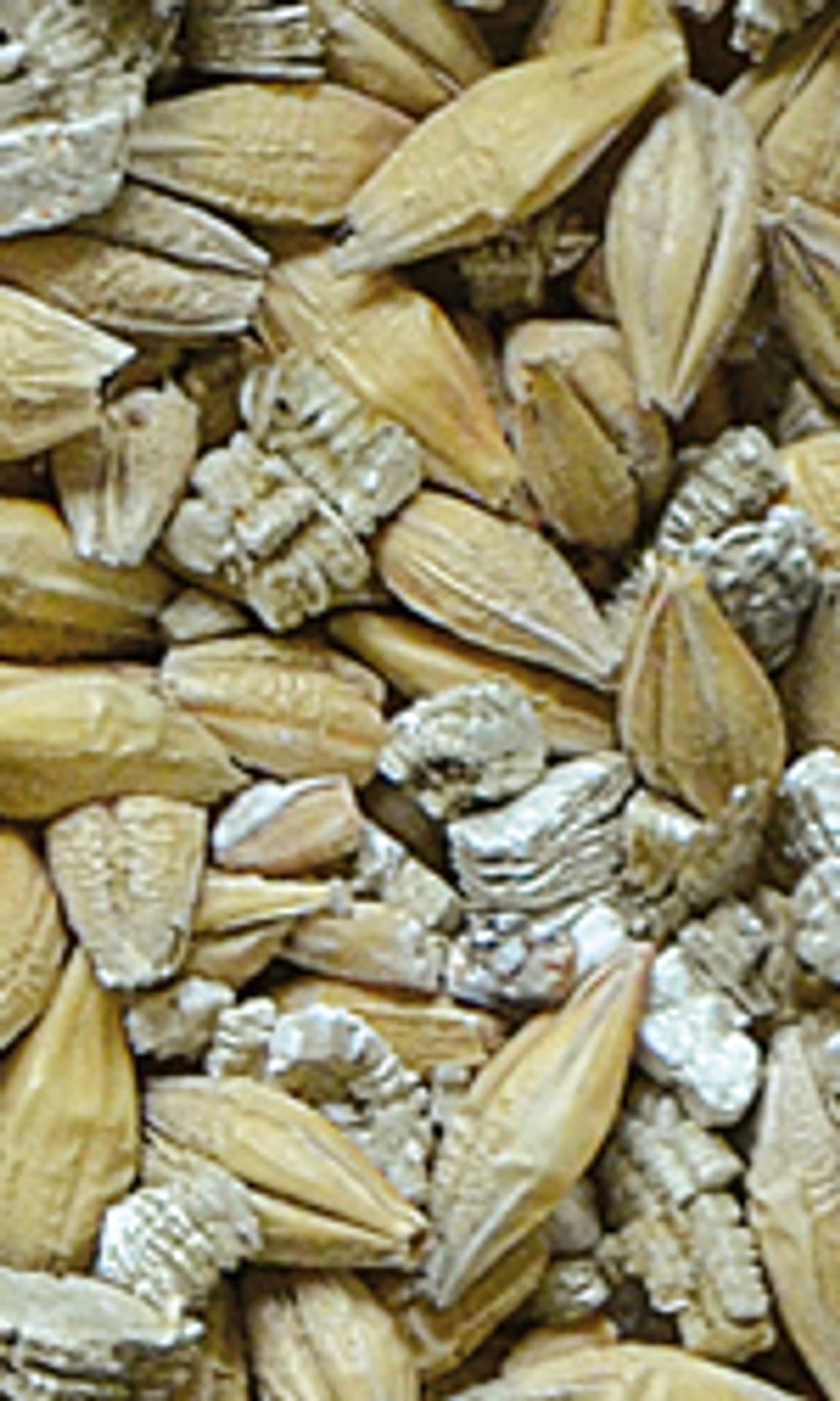 

CERTECH Trawka szybkorosnąca dla kota 150g