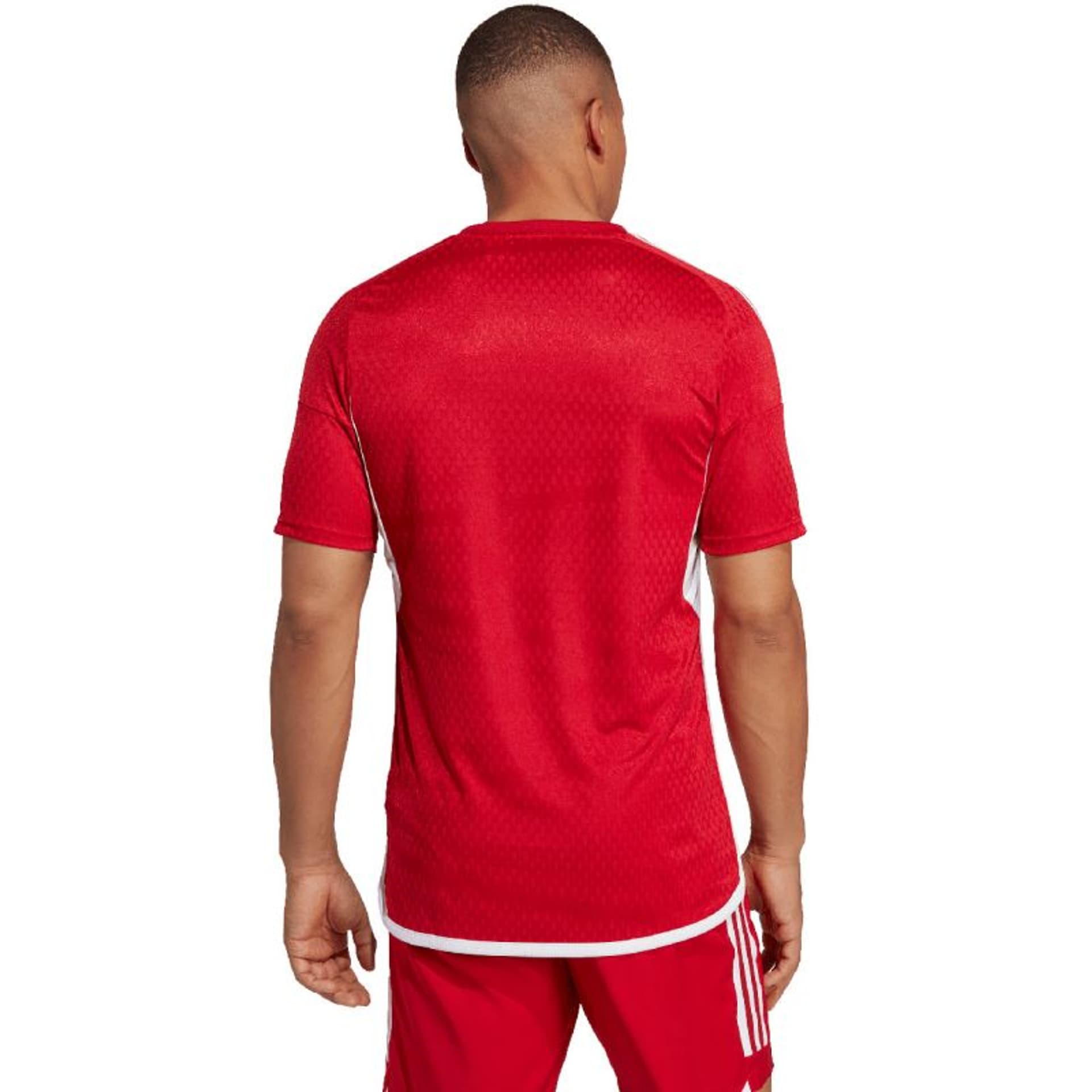 

Koszulka adidas Tiro 23 Competition Match Jersey M (kolor Czerwony, rozmiar M)