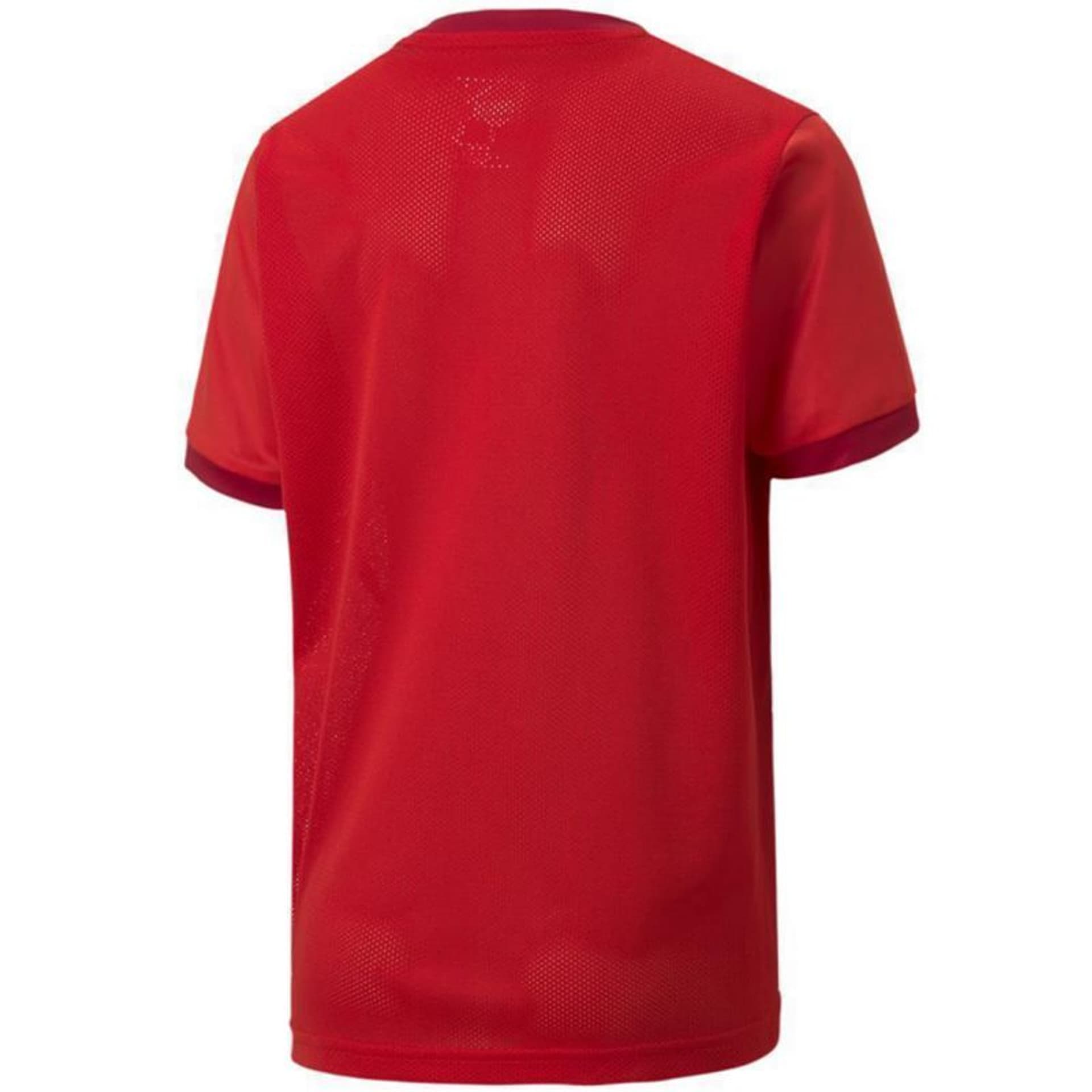 

Koszulka Puma teamGOAL 23 Jersey Jr 704160 (kolor Czerwony, rozmiar 164cm)