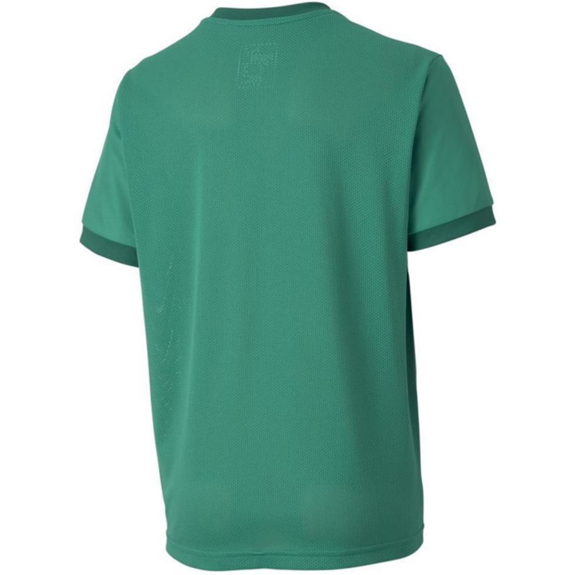 

Koszulka Puma teamGOAL 23 Jersey Jr 704160 (kolor Zielony, rozmiar 164cm)