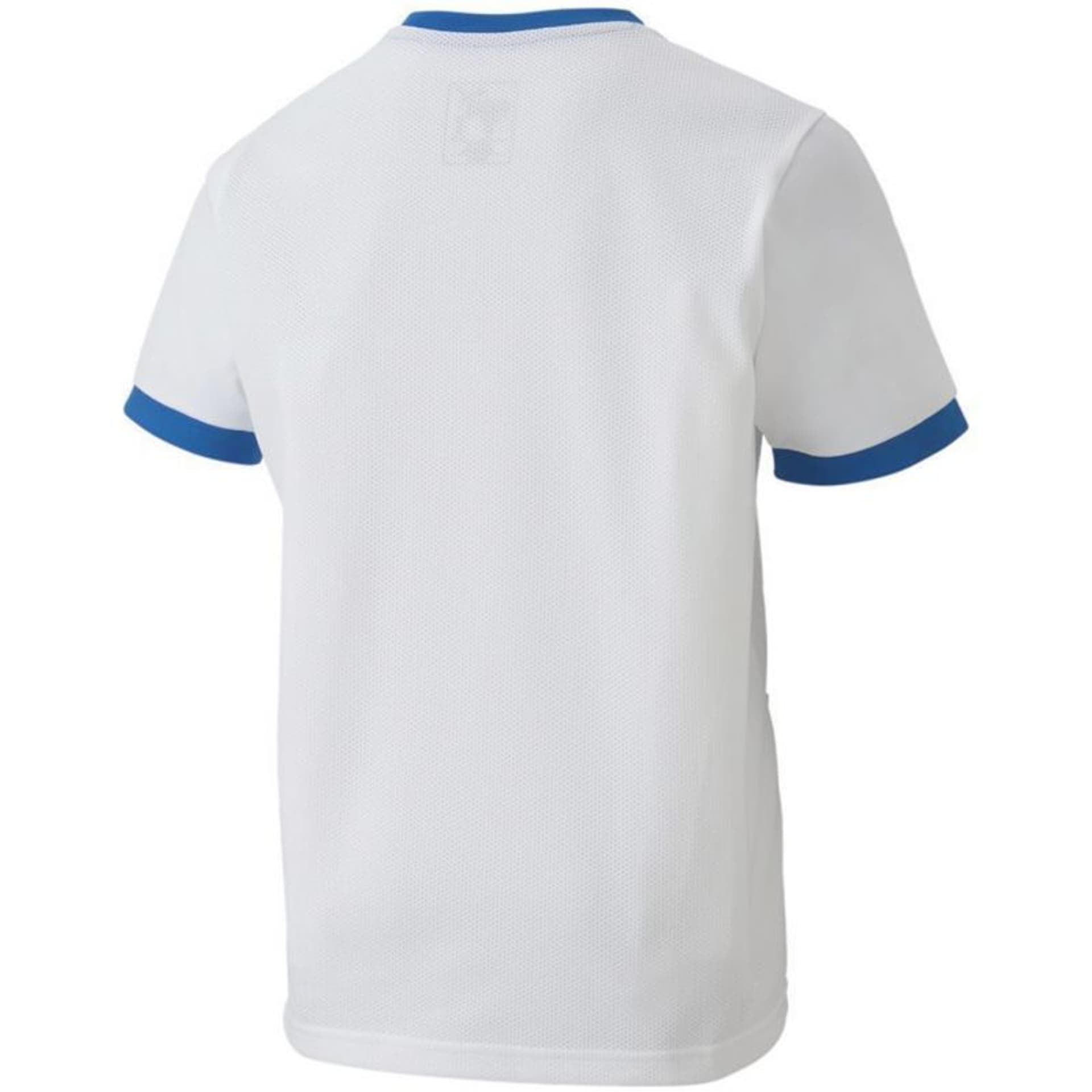 

Koszulka Puma teamGOAL 23 Jersey Jr 704160 (kolor Biały. Niebieski, rozmiar 176cm)