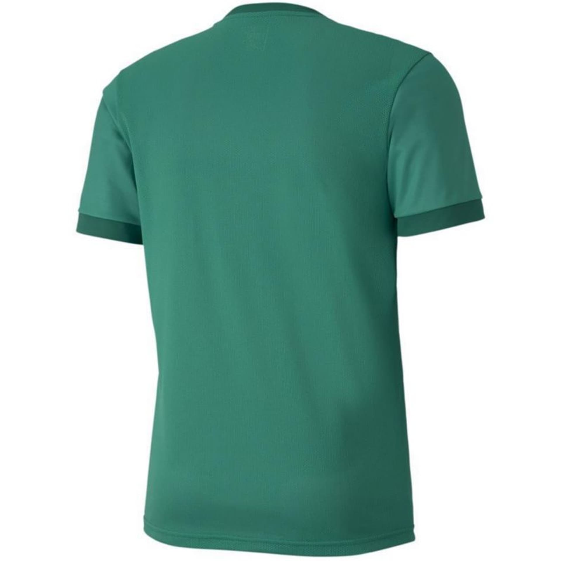 

Koszulka Puma teamGOAL 23 Jersey M 704171 (kolor Zielony, rozmiar M)